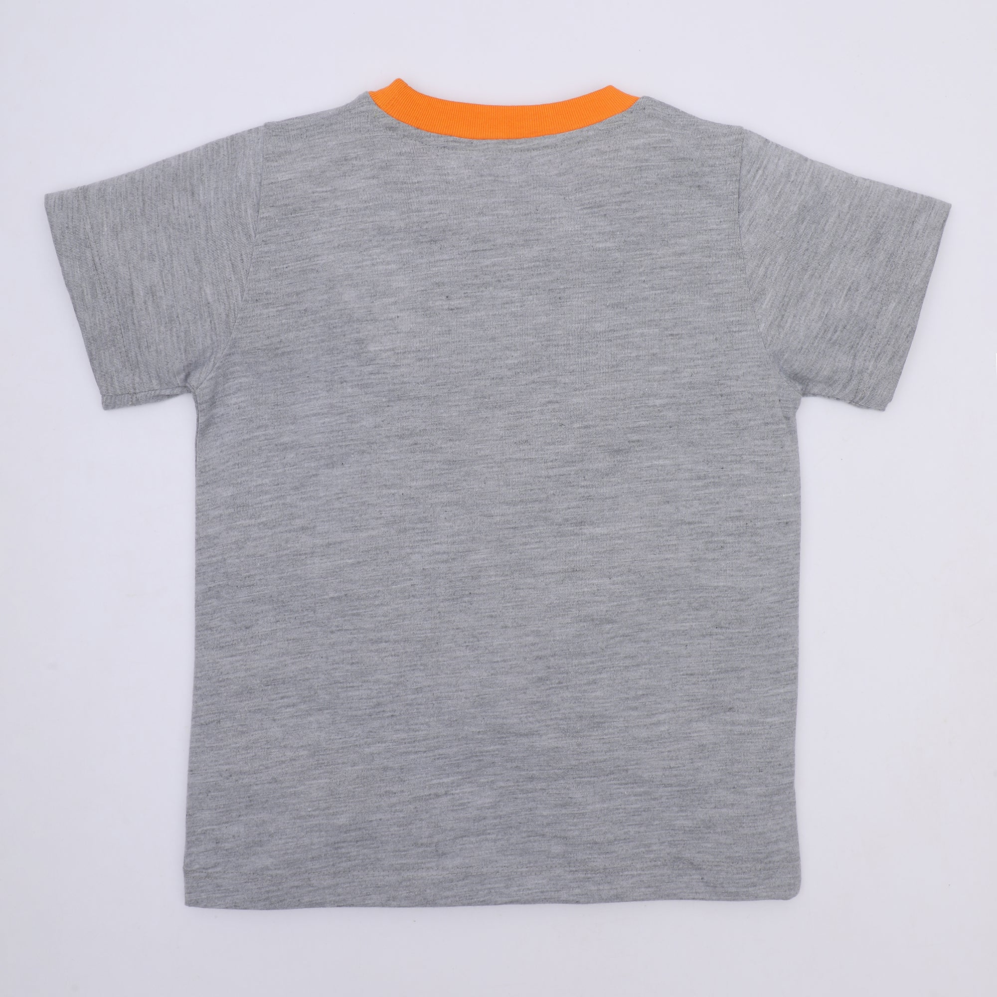 Grey Tiger T-Shirt