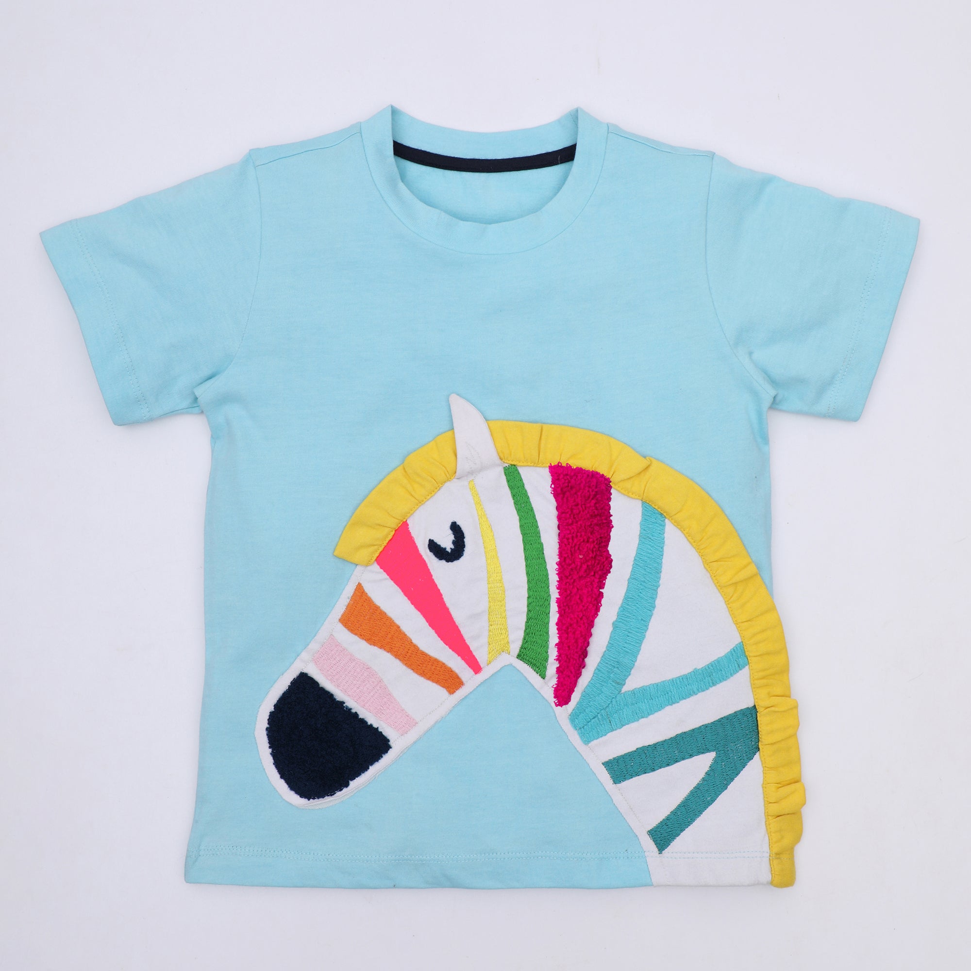 Aqua Zebra T-Shirt