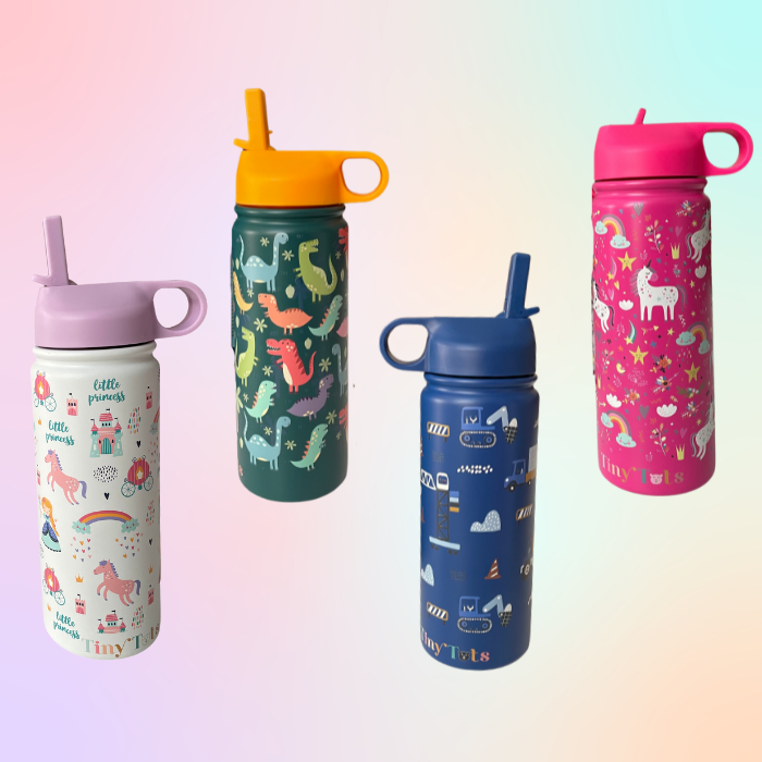 Insulated Steel Water Bottle With Straw- 475 ML (Construction)