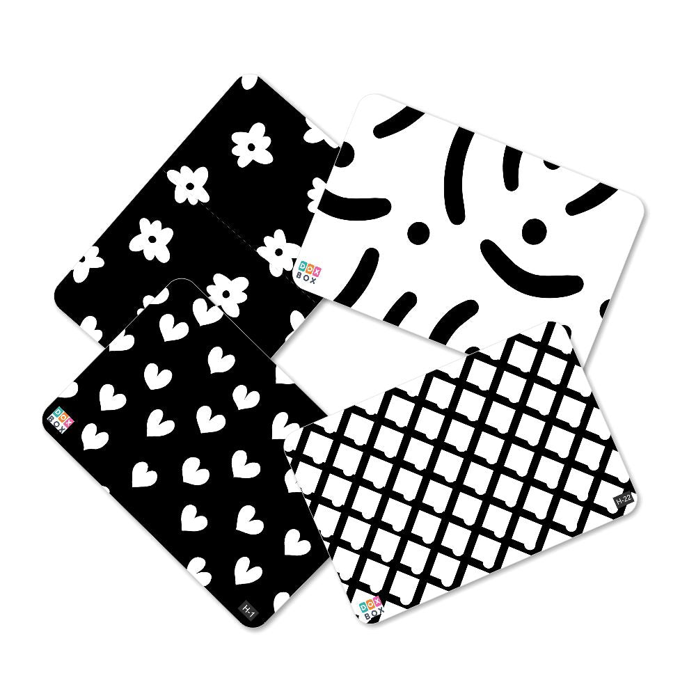 Zooplay Highcontast Flashcards