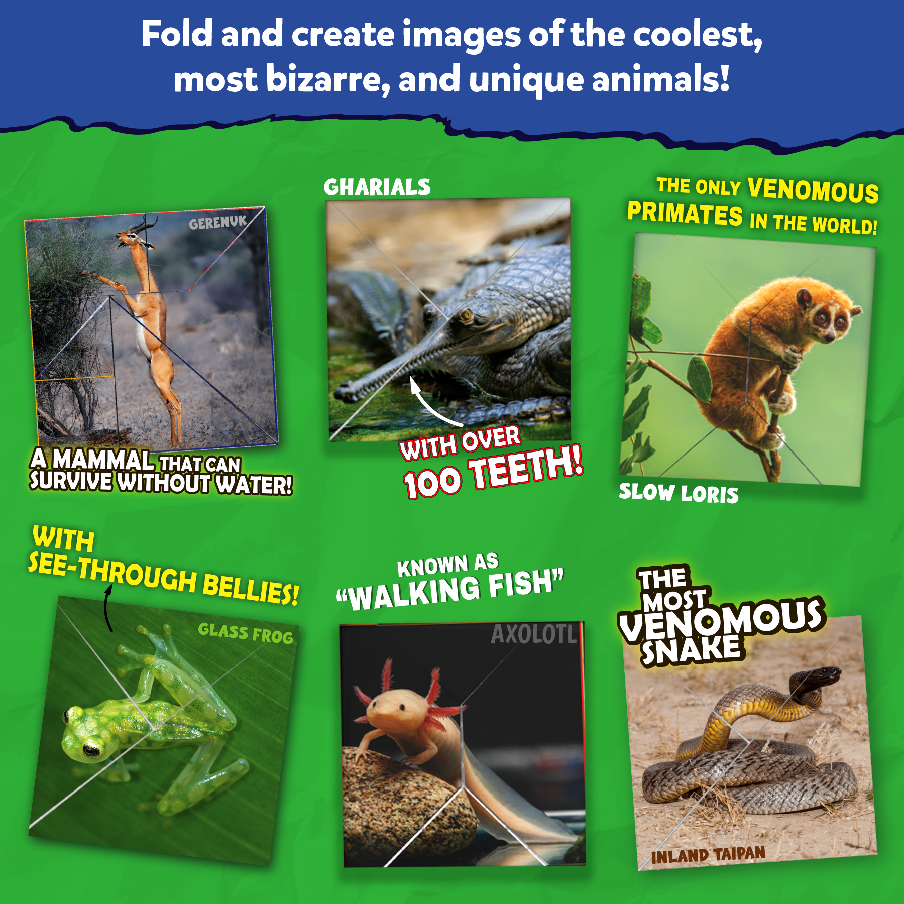 Skillmatics Origami Puzzle Book - Coolest Creatures, DIY Folding Craft & Activity Kit, Educational Toy with 48 Puzzles, Fun Learning Gifts for Girls & Boys Ages 7, 8, 9, 10 & Up