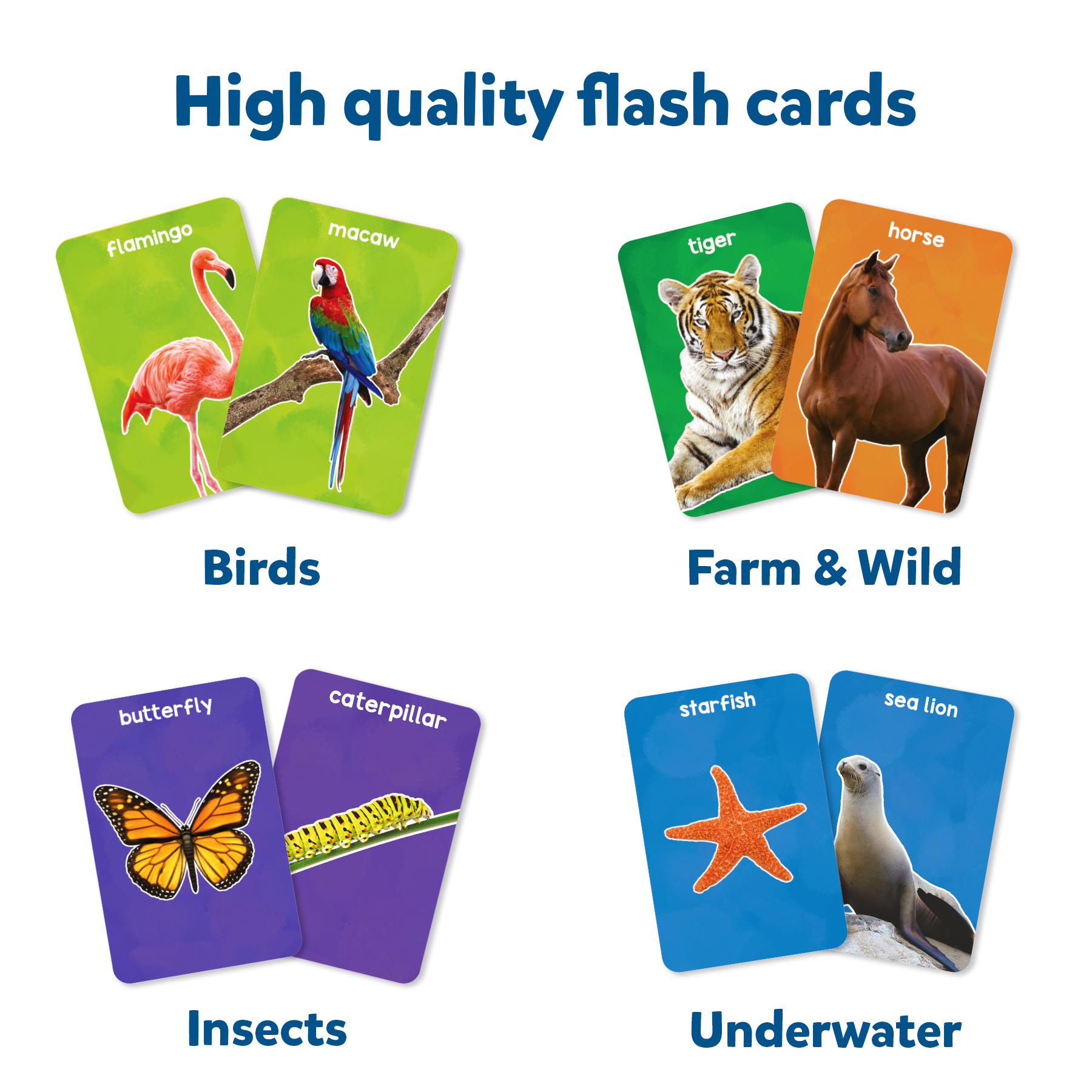 Flash Cards - First 100 Animals