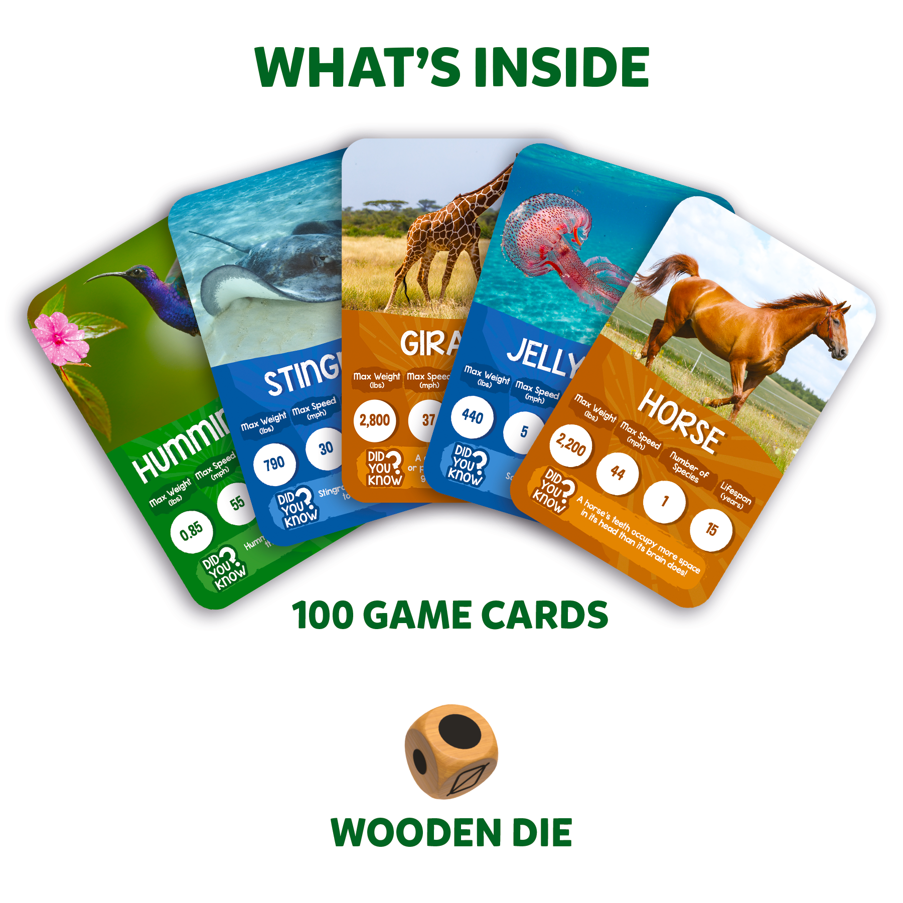 Skillmatics Trump Card Game - Rank Up Animals, Fun & Fast-Paced Game Of Memory, Perfect For Family Game Night, Gifts For Ages 7 And Up