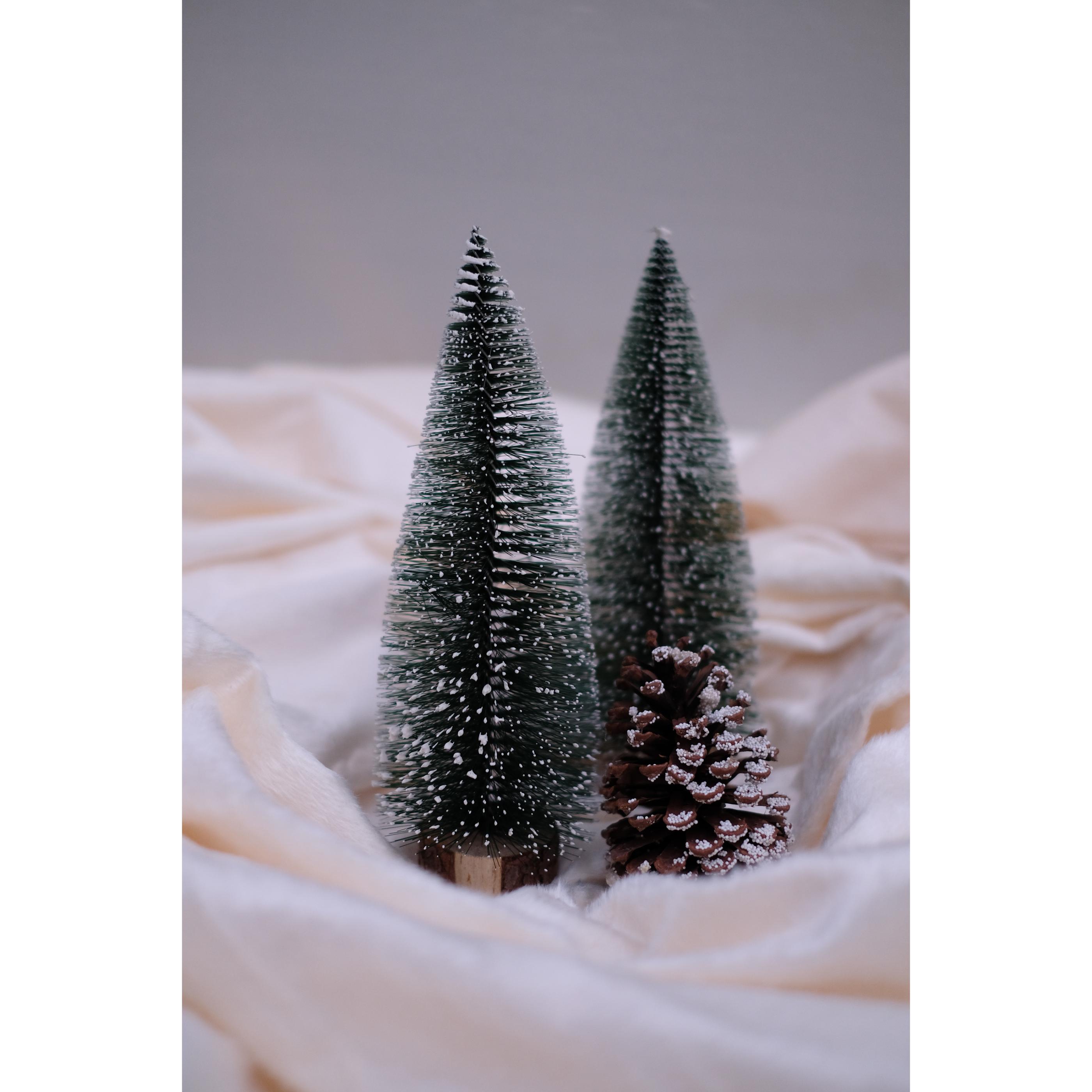 SWEN JANE Tabletop Christmas Tree With Frosting And Wooden Base, Pack Of 3