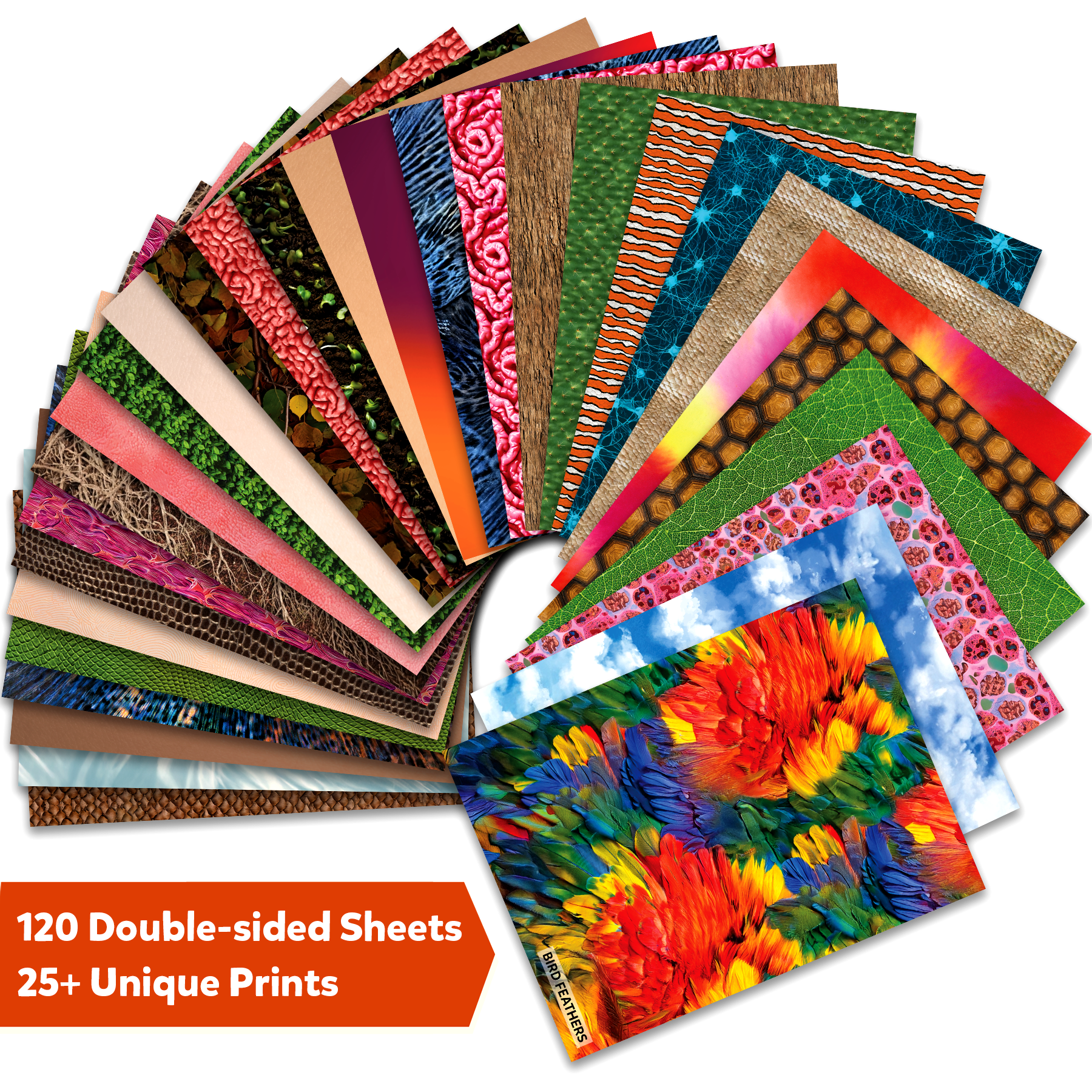 Skillmatics Life Science Construction Paper for Kids - 120 Double-Sided Printed Sheets (9x12), Textured Craft Paper for Art Projects, Science Activities, DIY Crafts, Scrapbooking, School Supplies