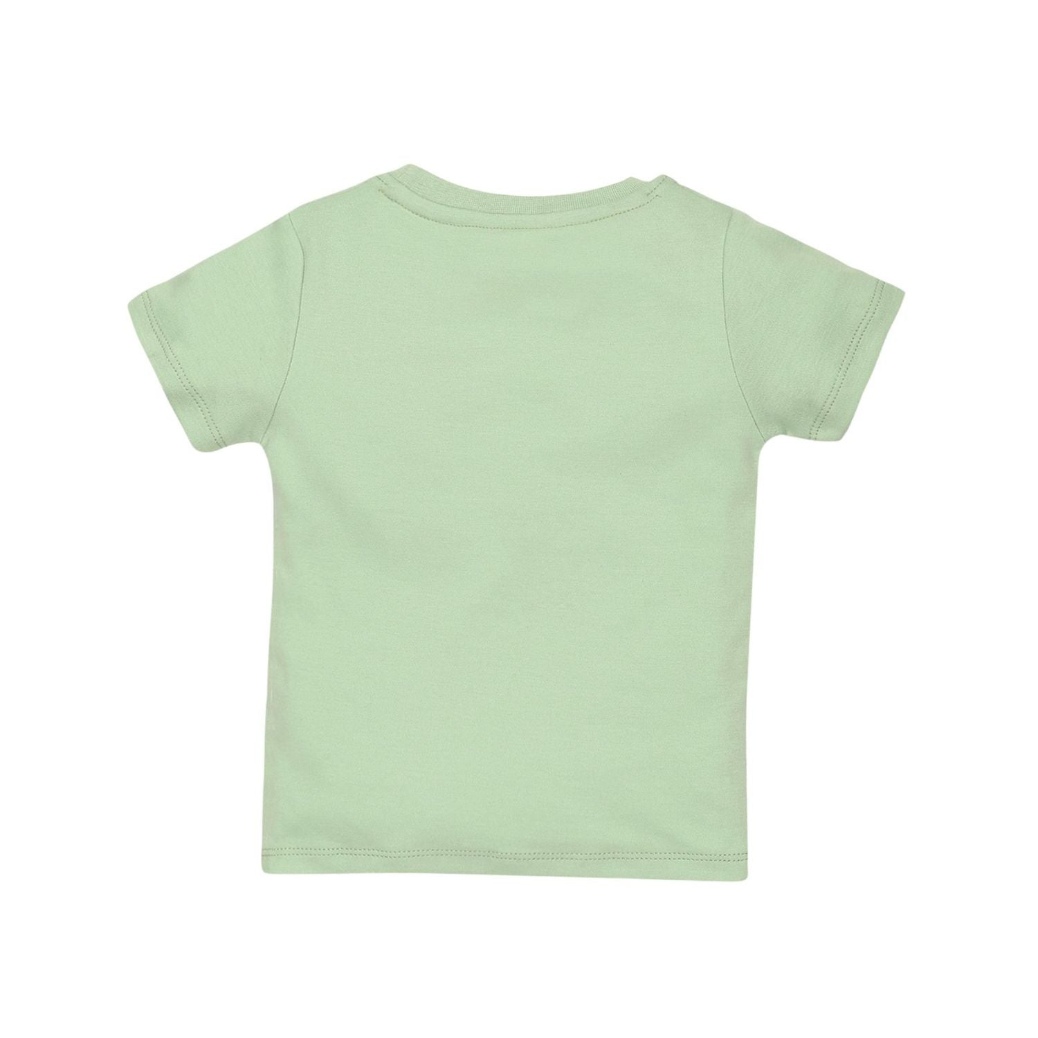 Puff Print Baby Boy Round Neck Tee with Shorts - Sage Green