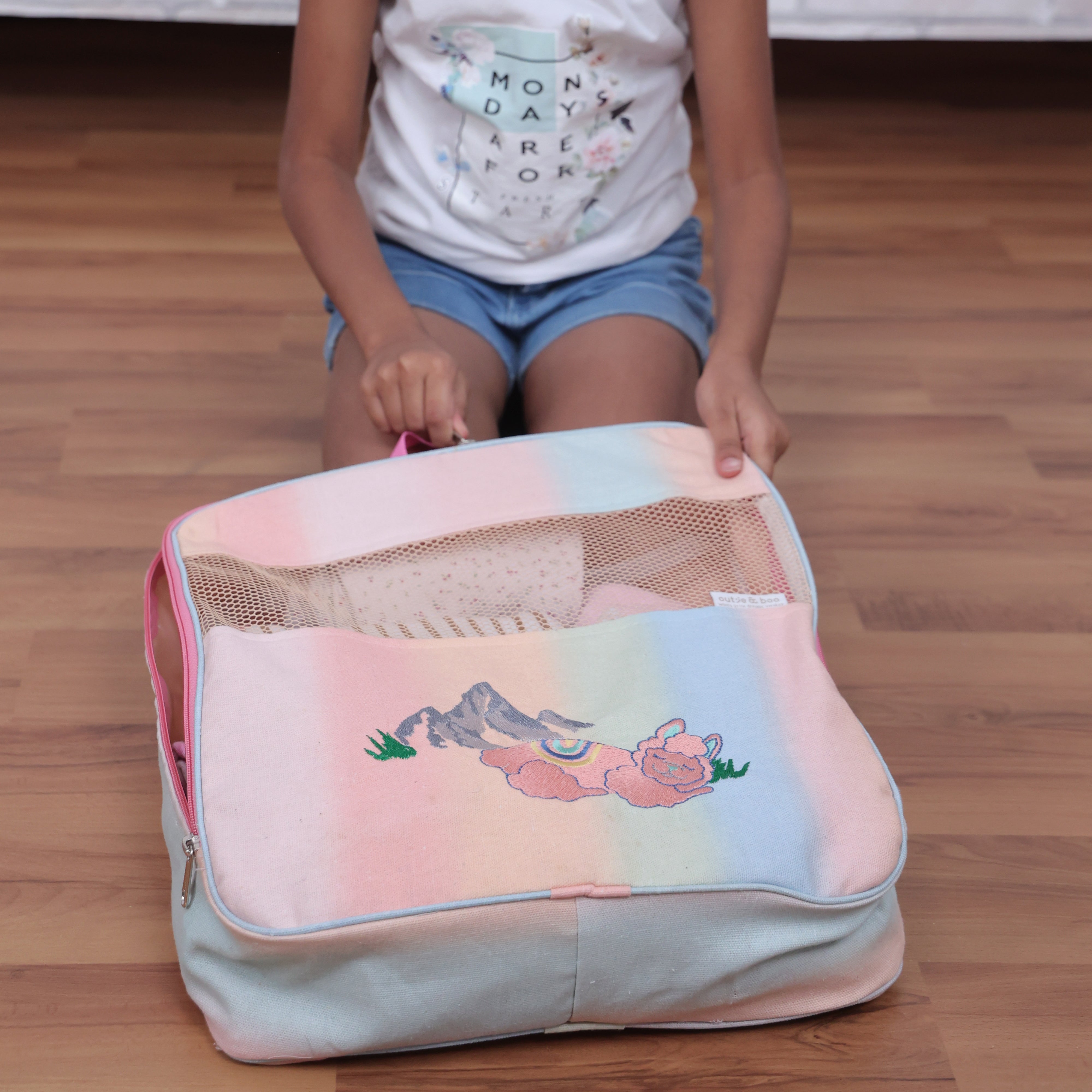 Ooh la Llama Organizer Bag