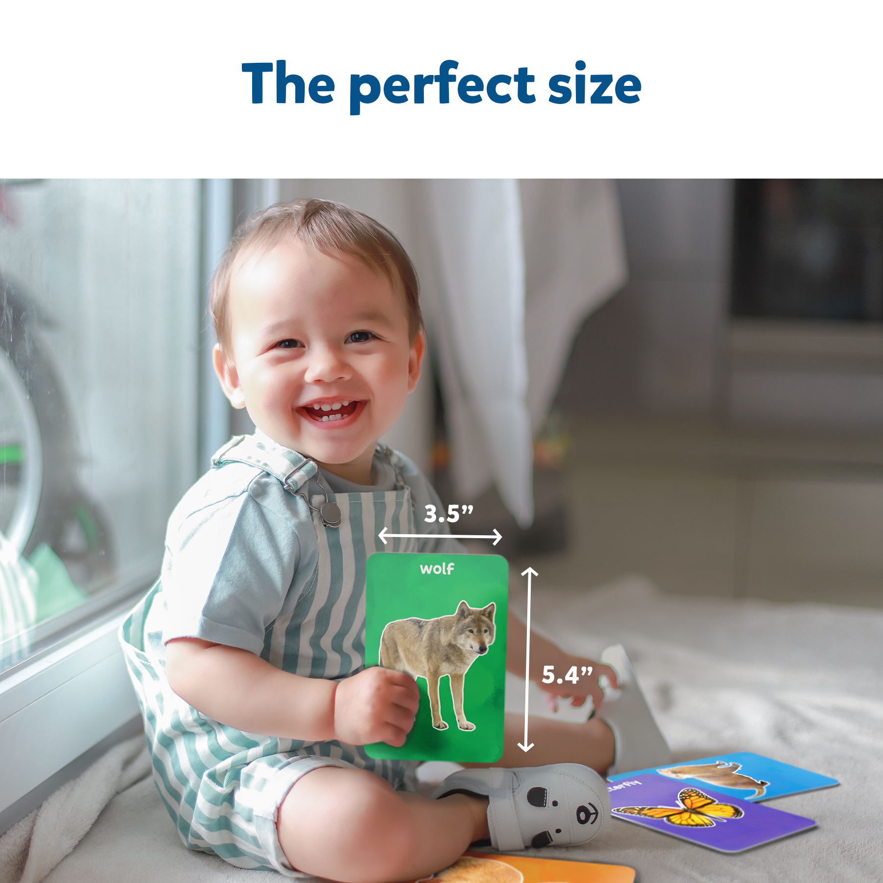 Flash Cards - First 100 Animals