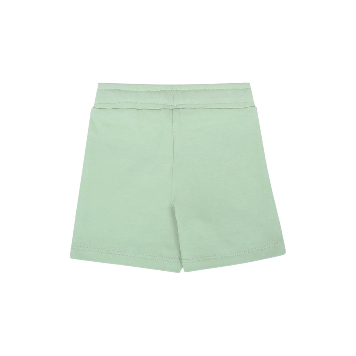Puff Print Baby Boy Round Neck Tee with Shorts - Sage Green