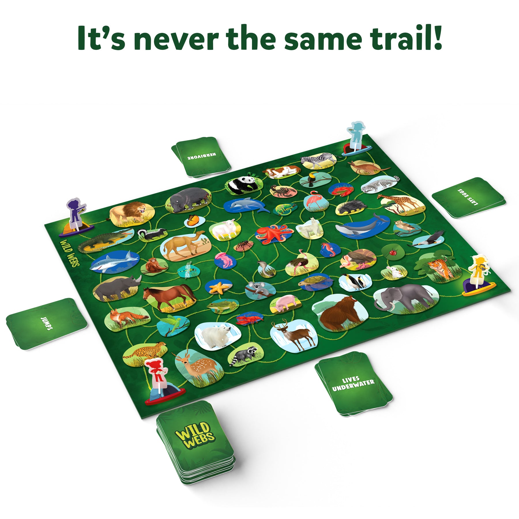 Skillmatics Board Game - Wild Webs, Animal Learning Game, Gifts, Family Friendly Games for Ages 6 and Up