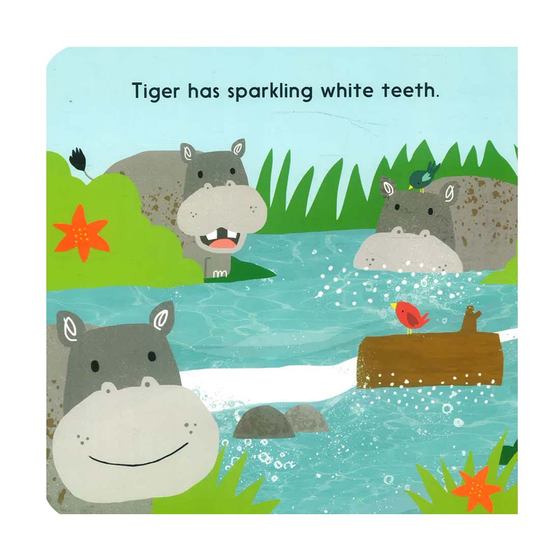 Let's Find The Tiger - Board Book