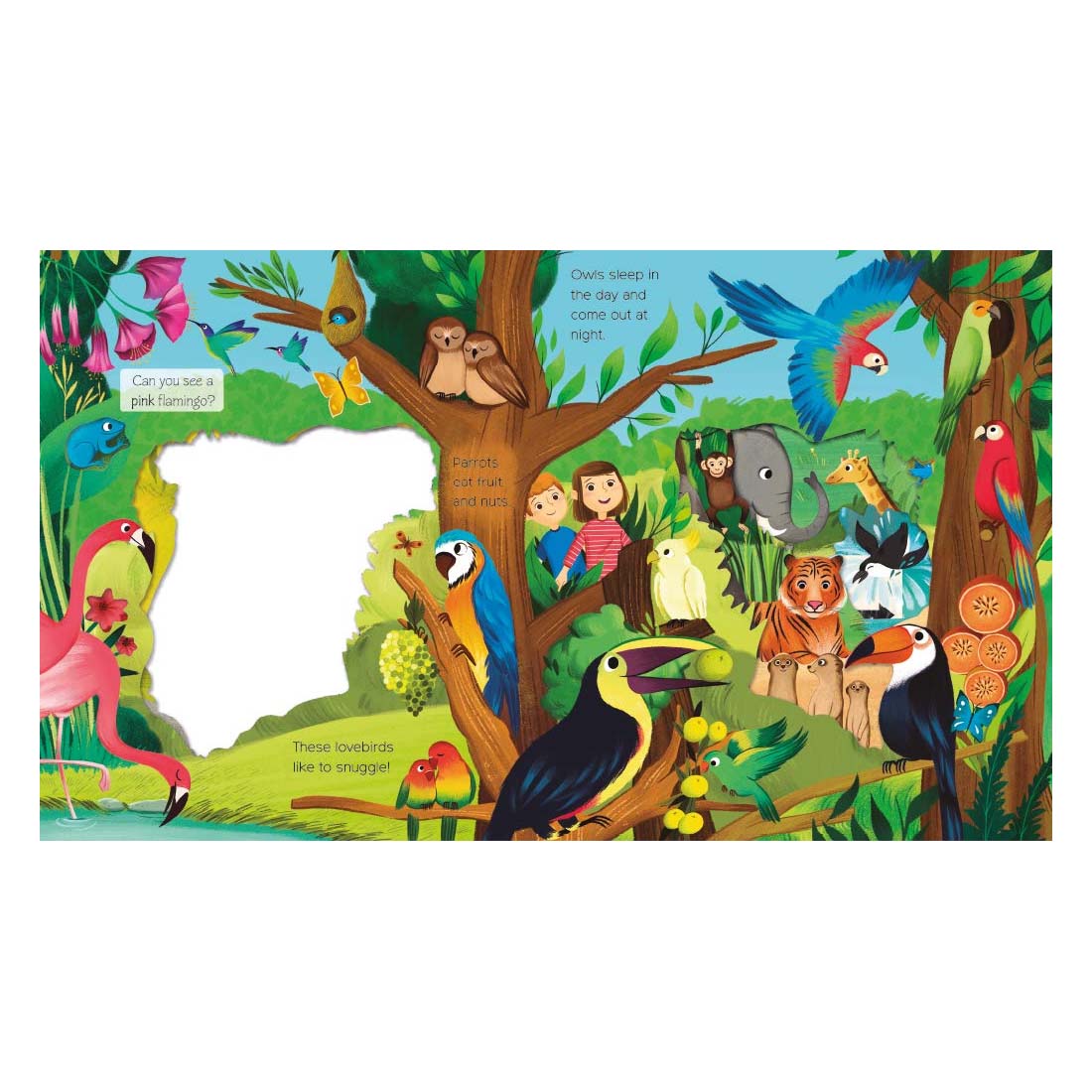 What Can You See? Animal Adventure: Board Book