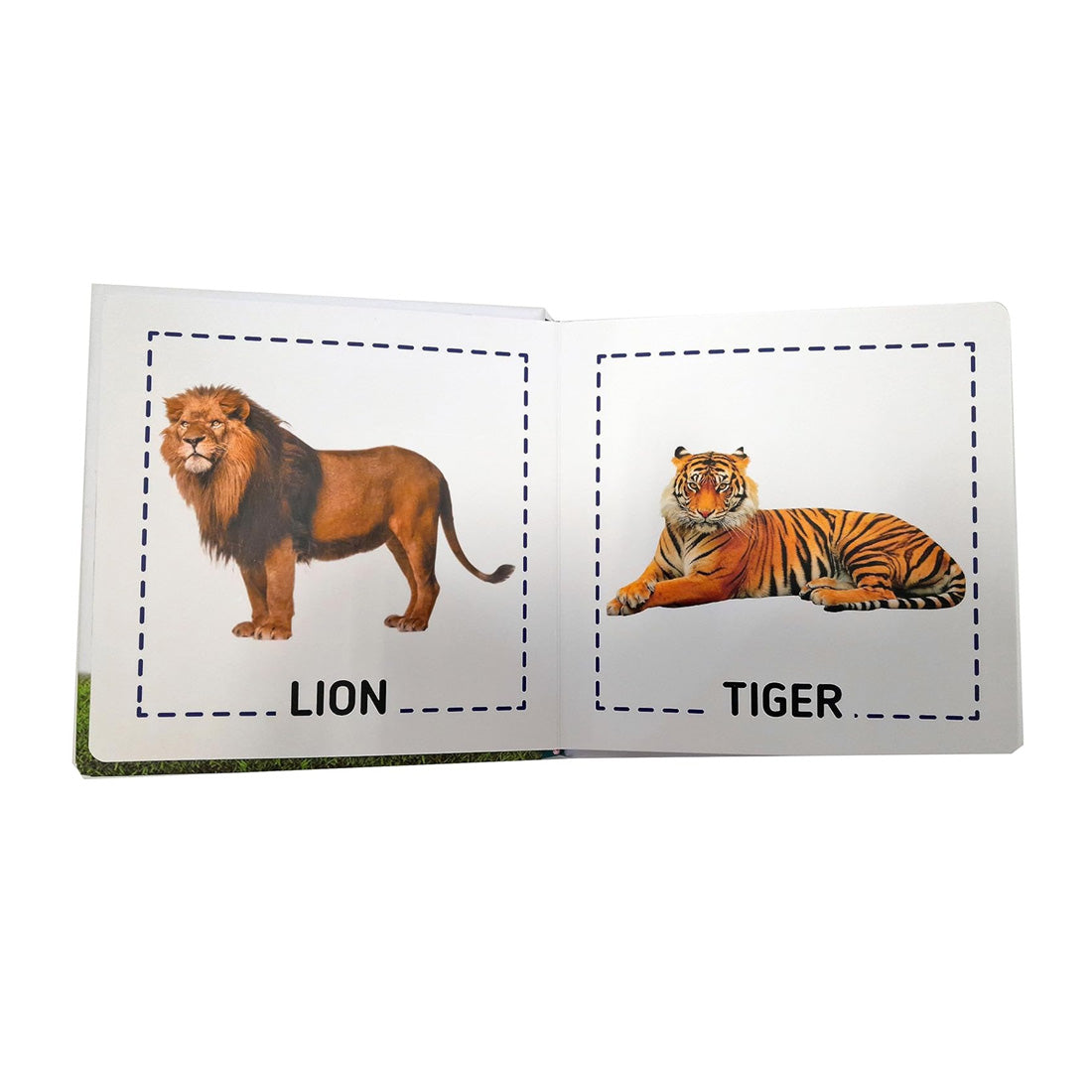 First Steps: Animals (Board Book - Padded)