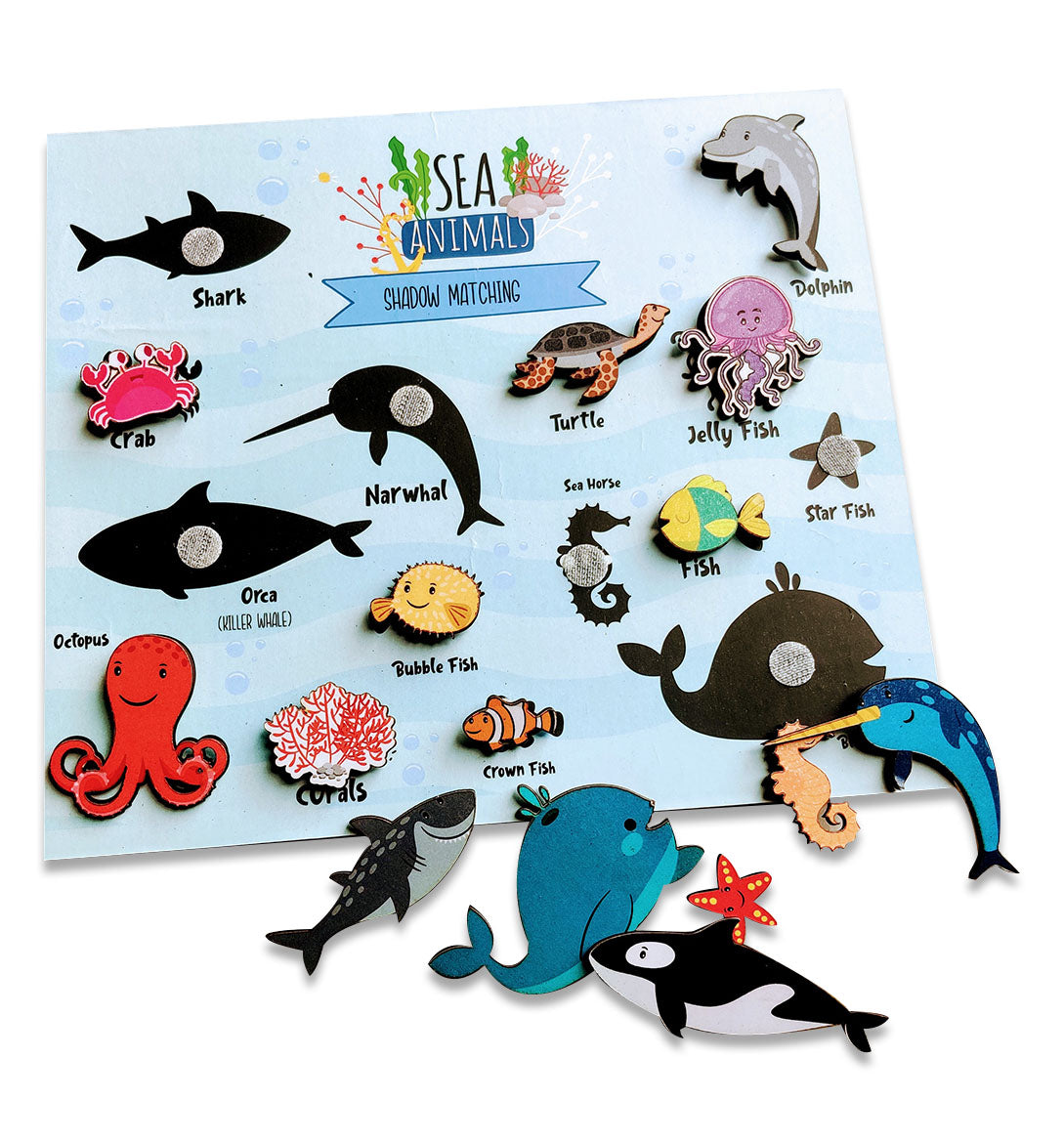 Sea Animals Shadow Matching Activity