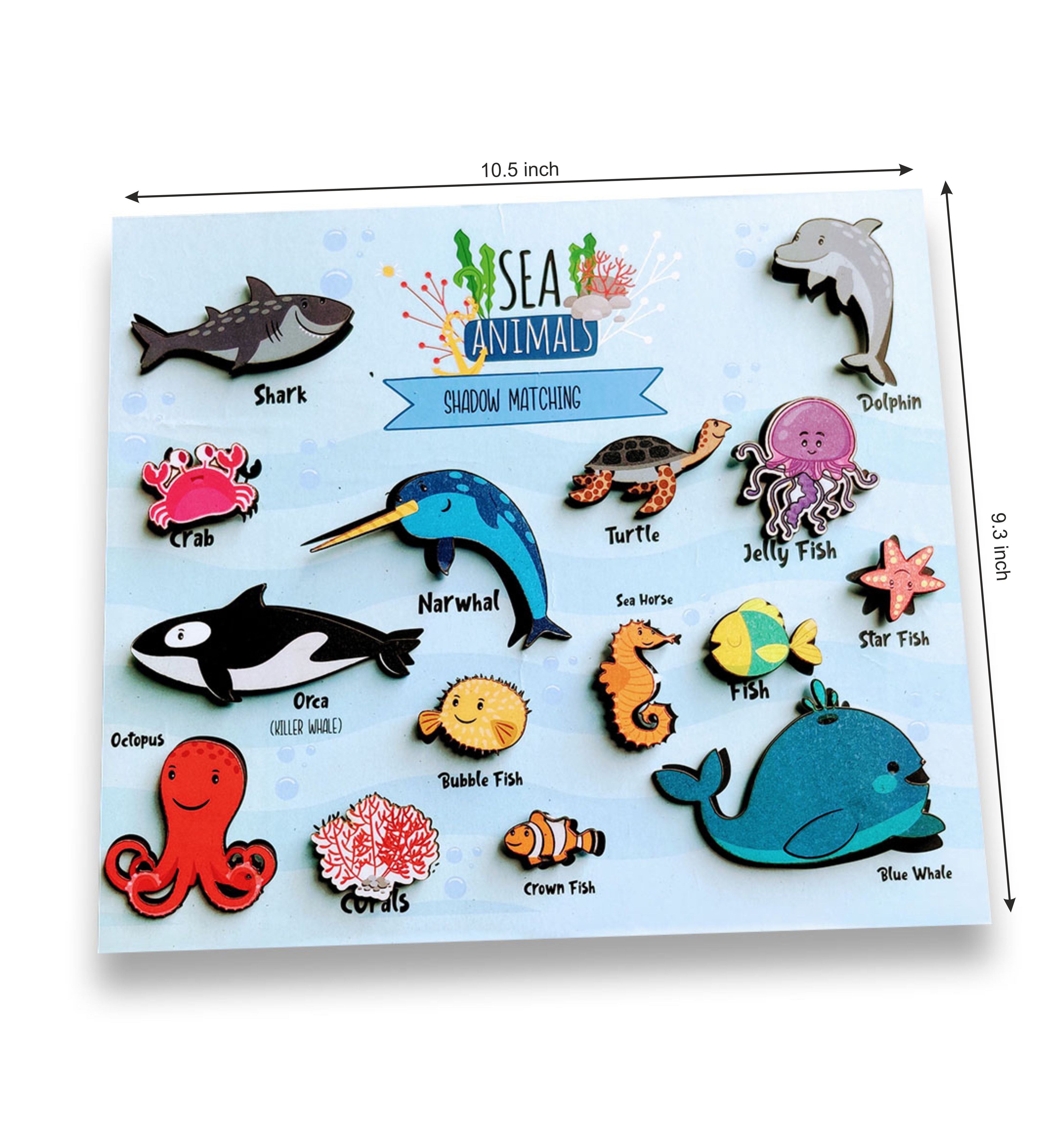 Sea Animals Shadow Matching Activity