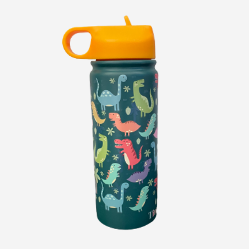 Insulated Steel Water Bottle With Straw- 475 ML - Dino