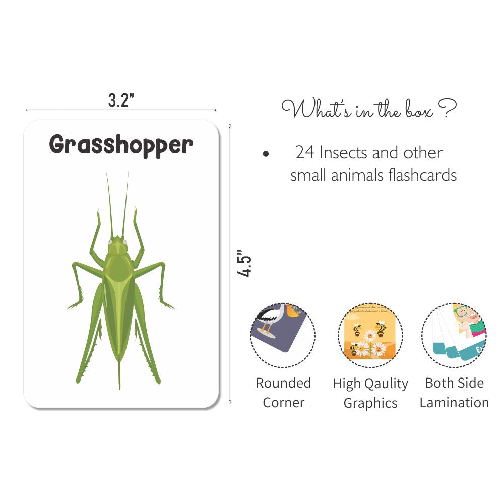 Insects & Other Small Animals Flashcards - Pack of 24