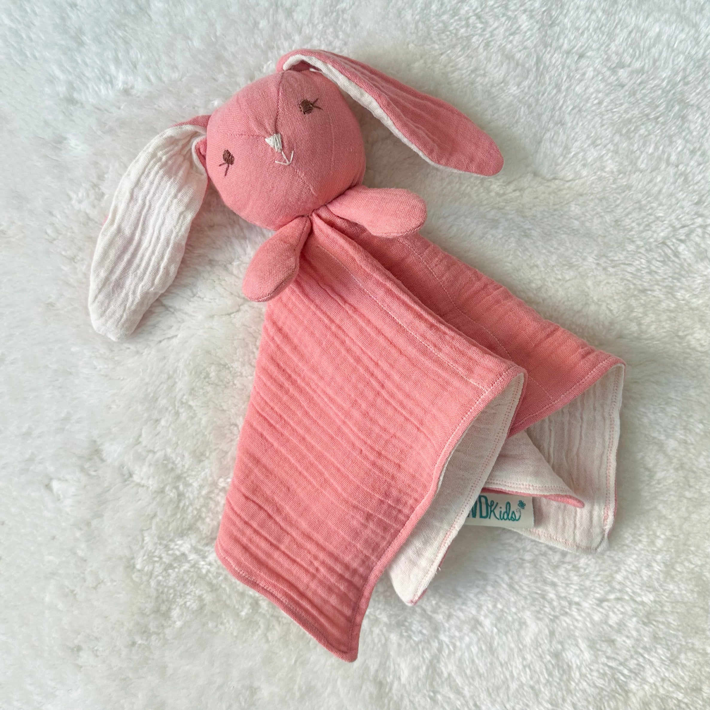 Cuddle Companion Blankie
