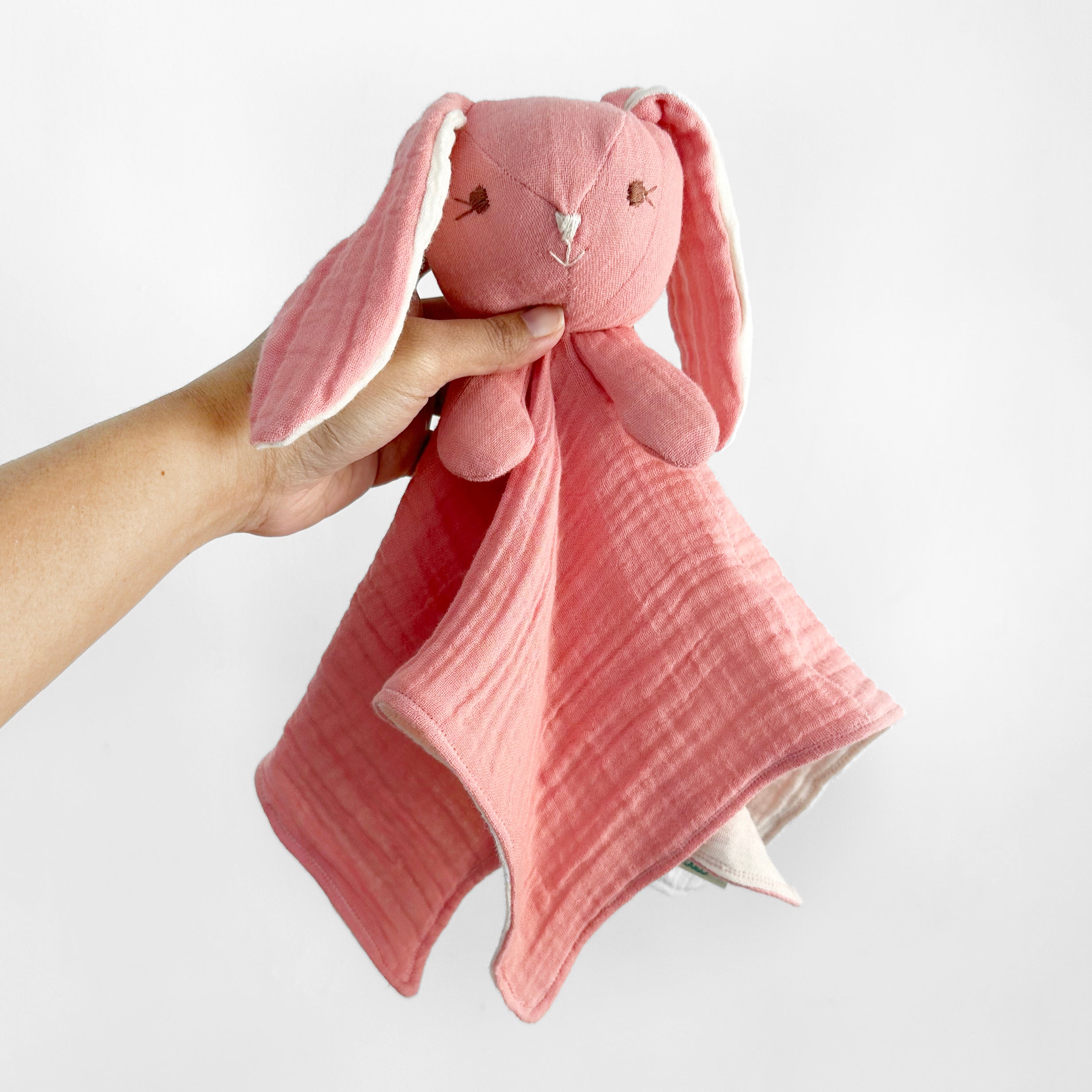 Cuddle Companion Blankie