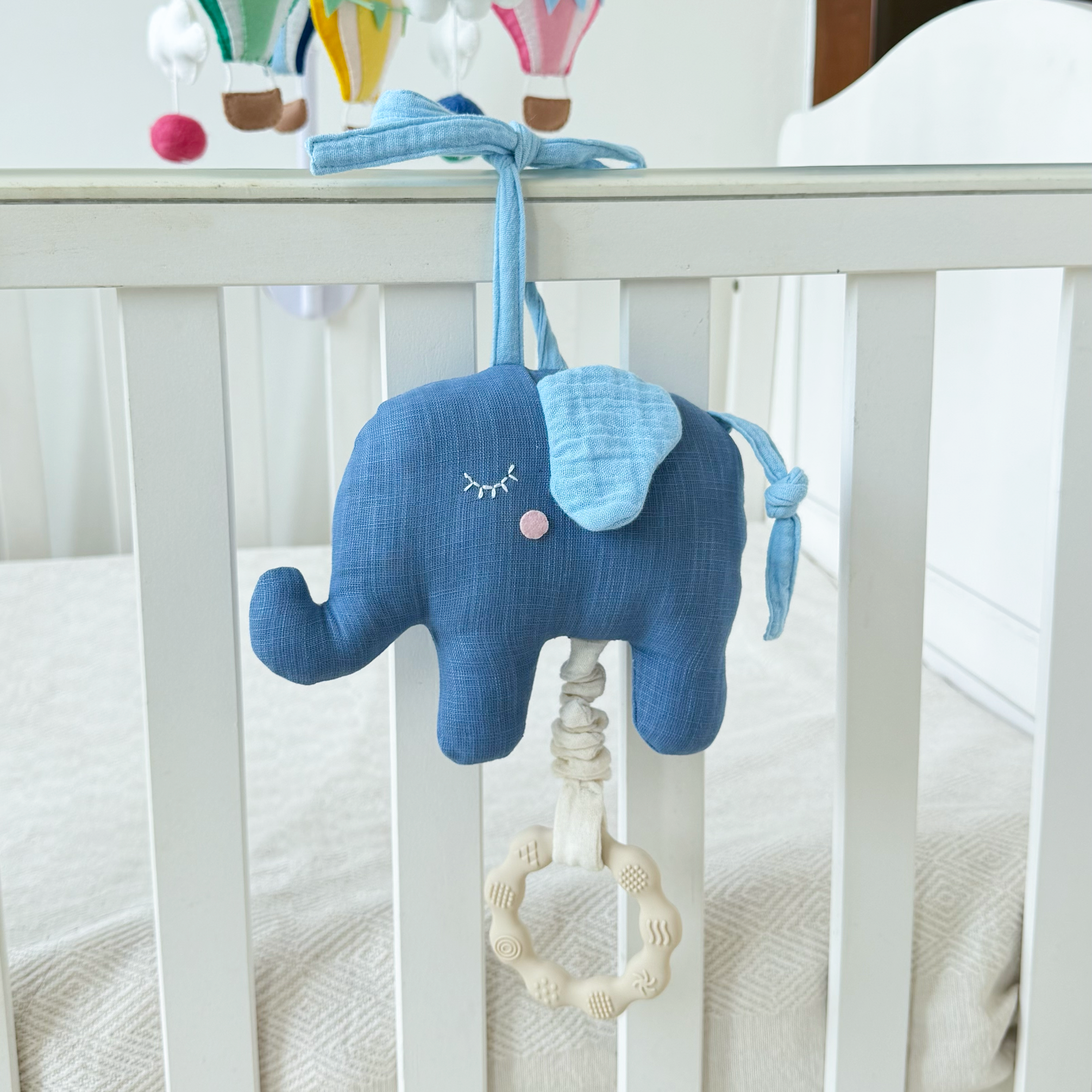 Musical Pull Toy