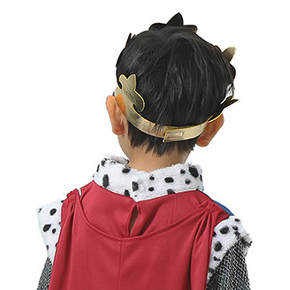 Little Surprise Box,Medieval King costume,Kids Halloween Costume Fancy Dress Up