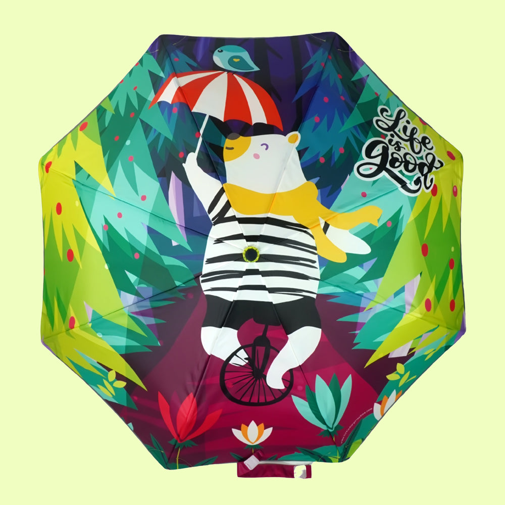Little Surprise Box, 3 fold KellyJo & Starsy Rain & All Season Umbrella for Kids