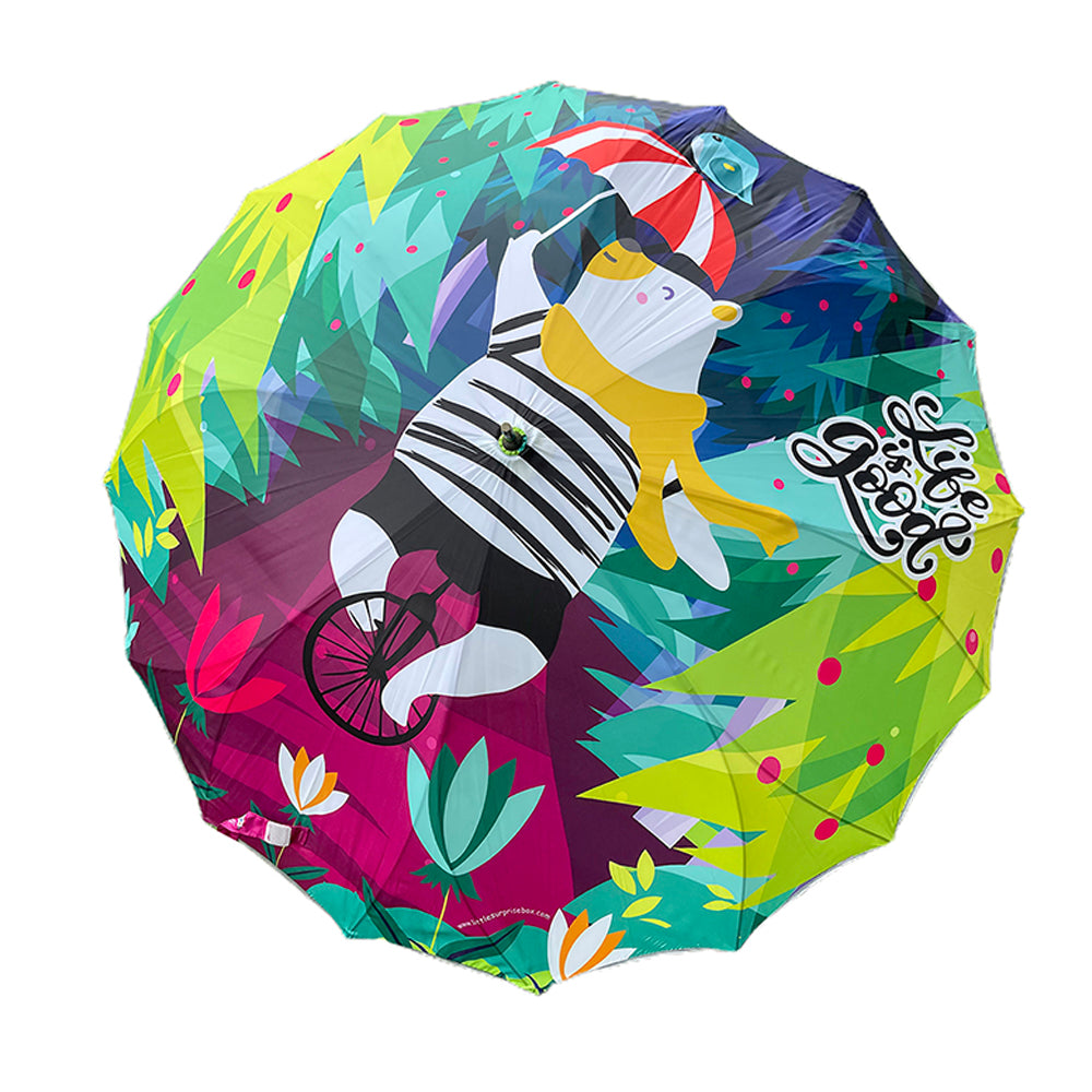 Little Surprise Box, KellyJo & Starsy Rain & All Season Umbrella for Teens and Adults