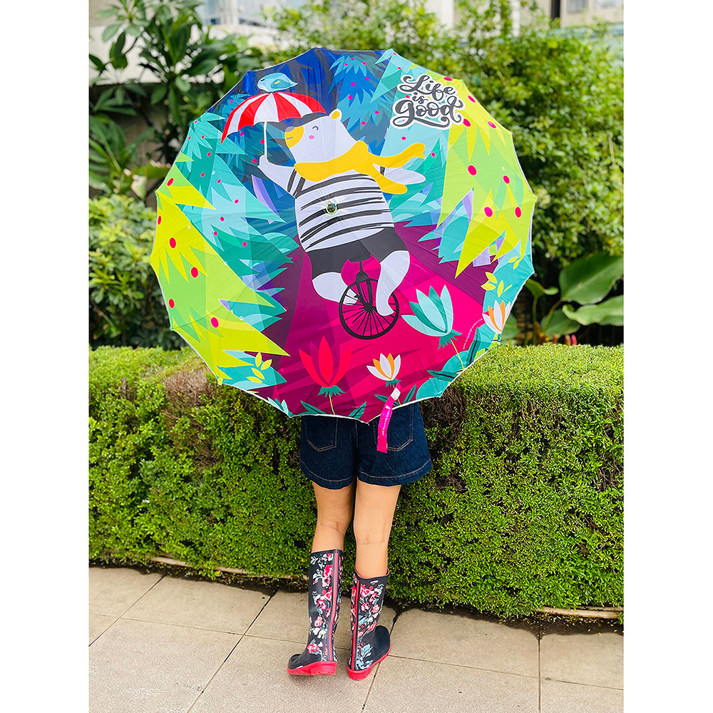 Little Surprise Box, KellyJo & Starsy Rain & All Season Umbrella for Teens and Adults