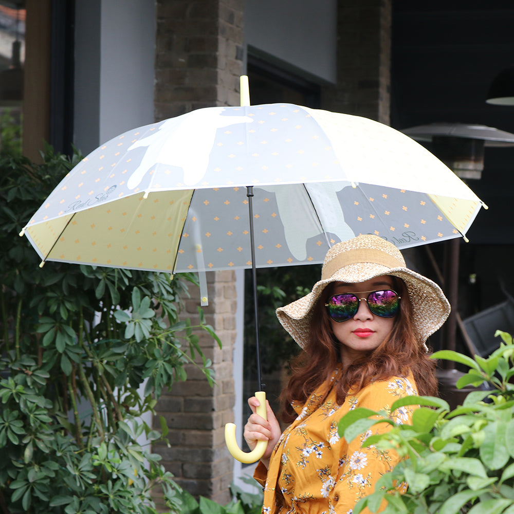 Little Surprise Box, Yellow Translucent Brave Spirit Kelly Jo Teddy Print, Rain And All-Season Umbrella For Kids & Adults.