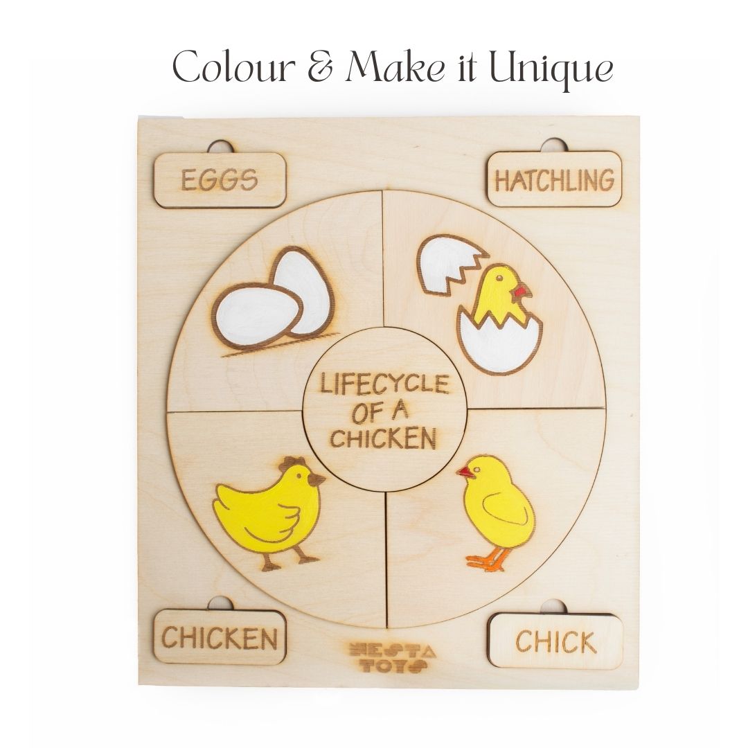 Montessori Life Cycle Puzzle | DIY Coloring Activity (36 Pieces) - Frog, Plant, Chicken & Butterfly