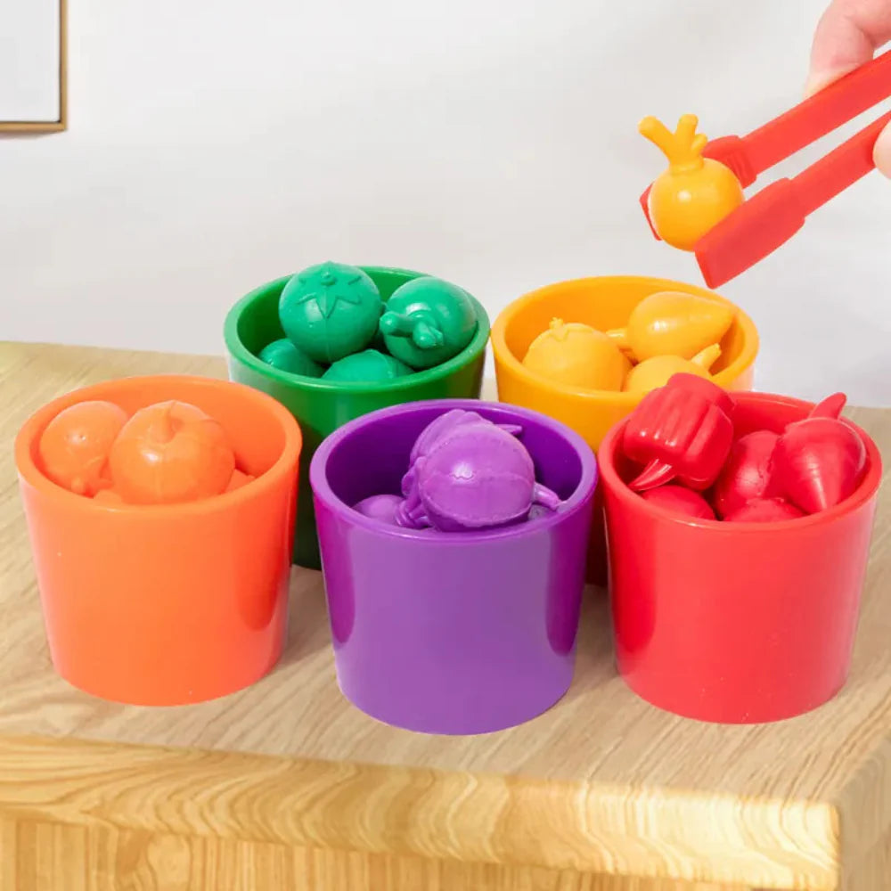 Open Ended Fruit Sorting Cups-Kids Games-Open Ended-Toycra