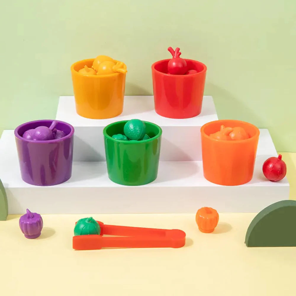 Open Ended Fruit Sorting Cups-Kids Games-Open Ended-Toycra