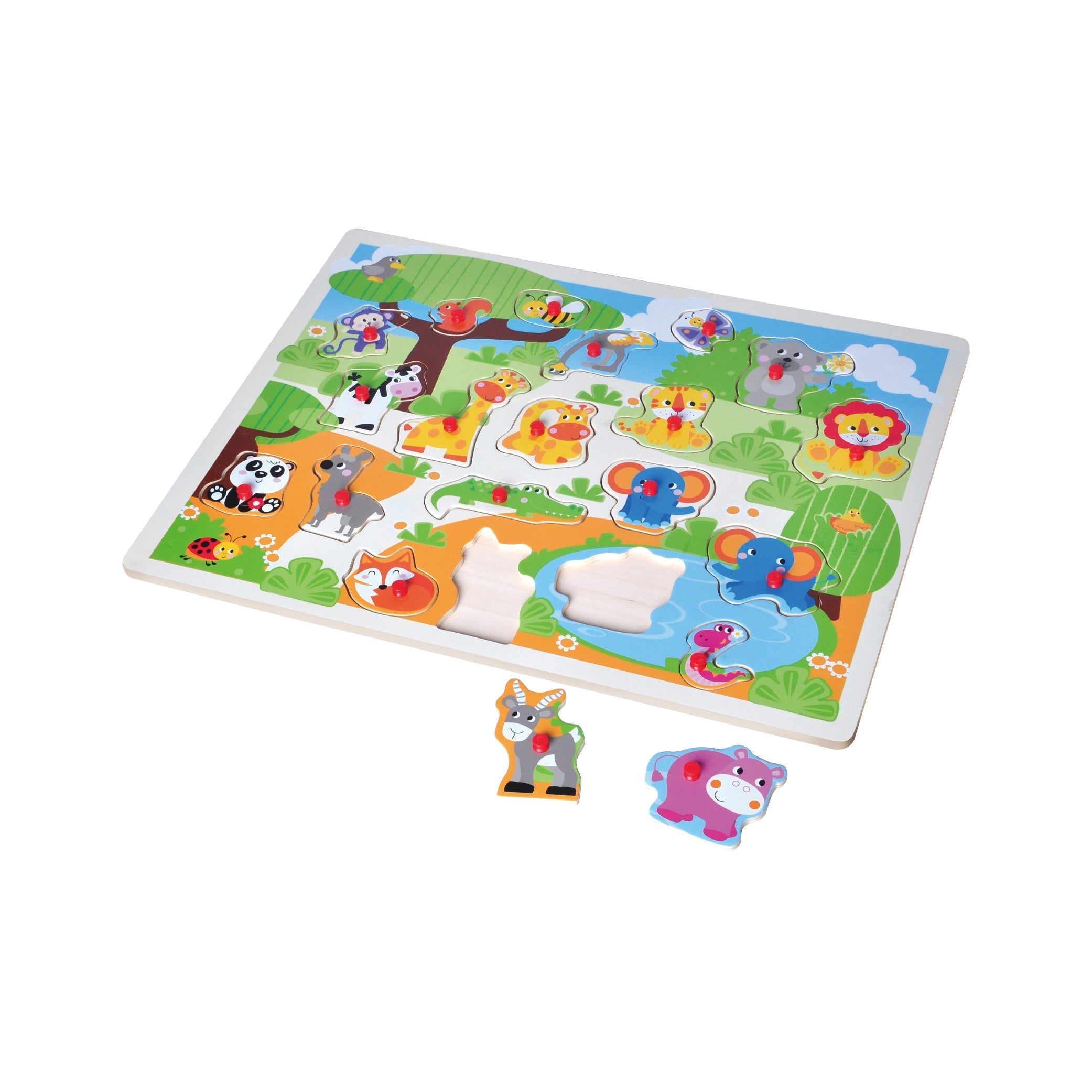 Open Ended Giant Peg Puzzle