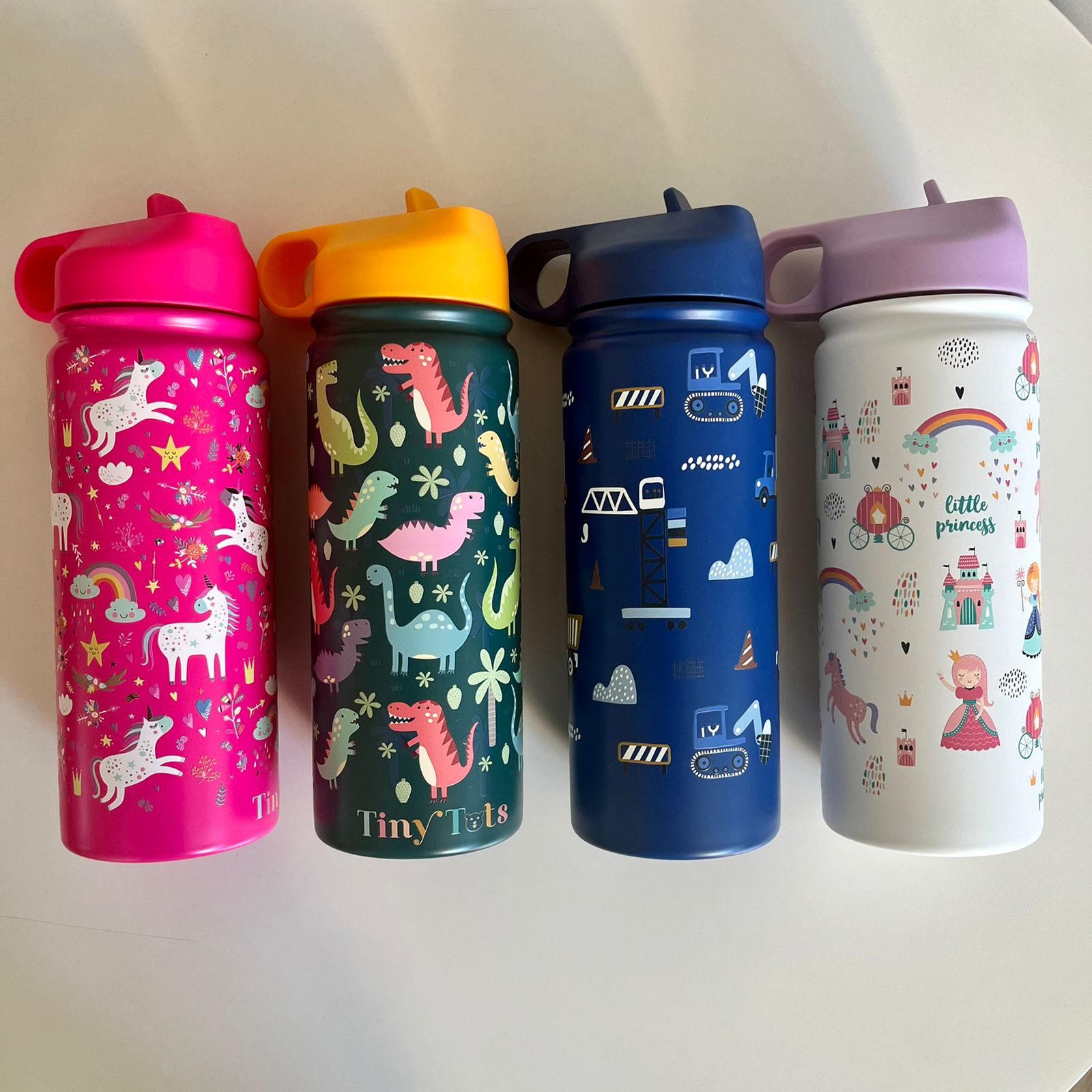 Insulated Steel Water Bottle With Straw- 475 ML - Little Princess