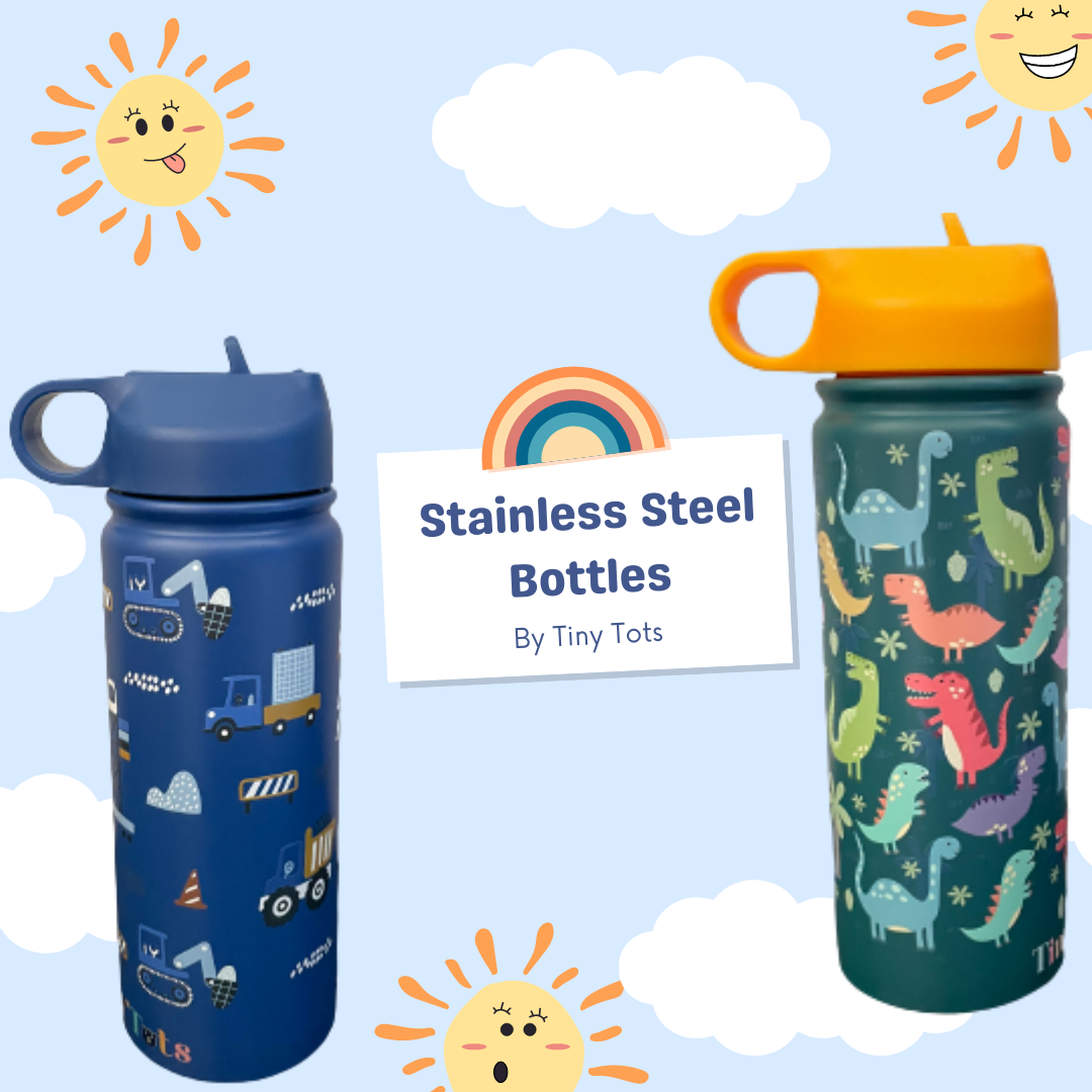Insulated Steel Water Bottle With Straw- 475 ML - Dino