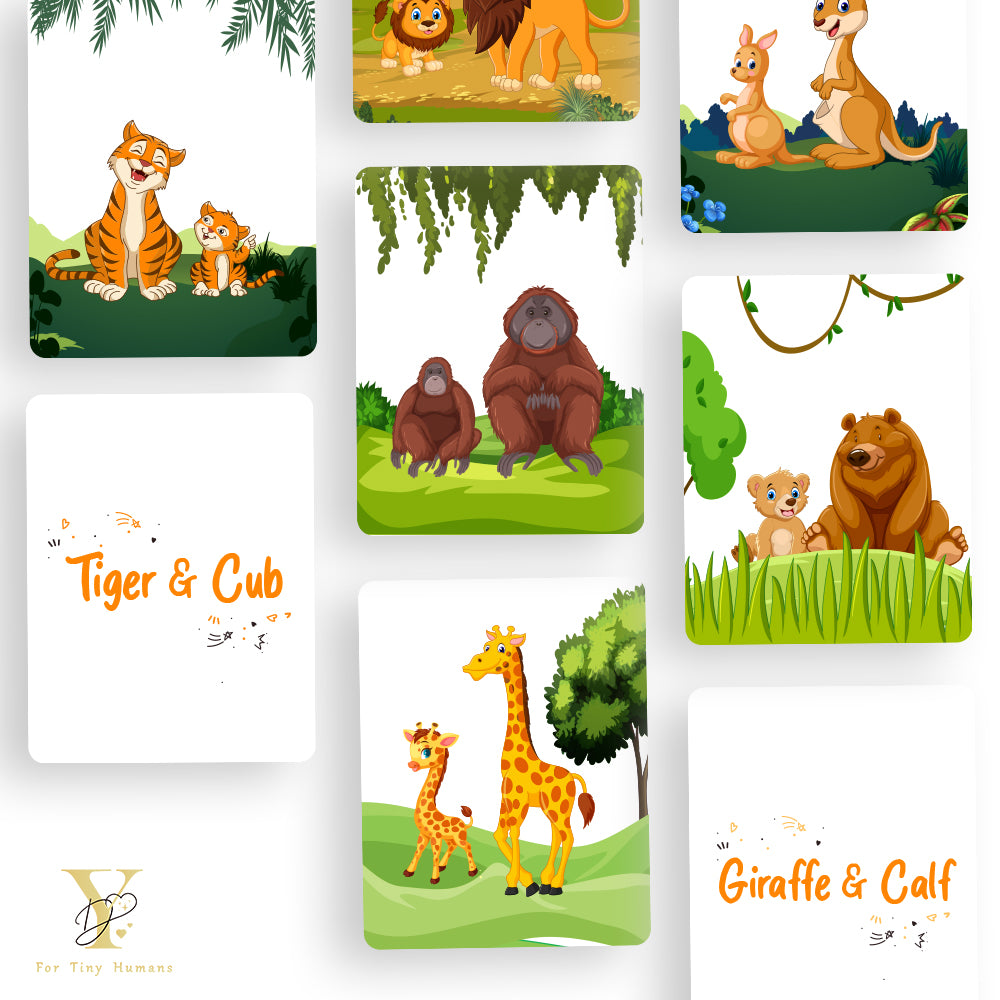 Wild Animals Flash Cards & Diwali Bodysuit Gift Set