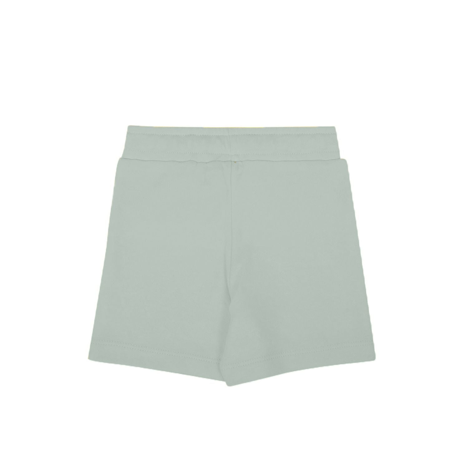 My Milestones Shorts Boys Sage Green / Yellow - 2 Pc Pack