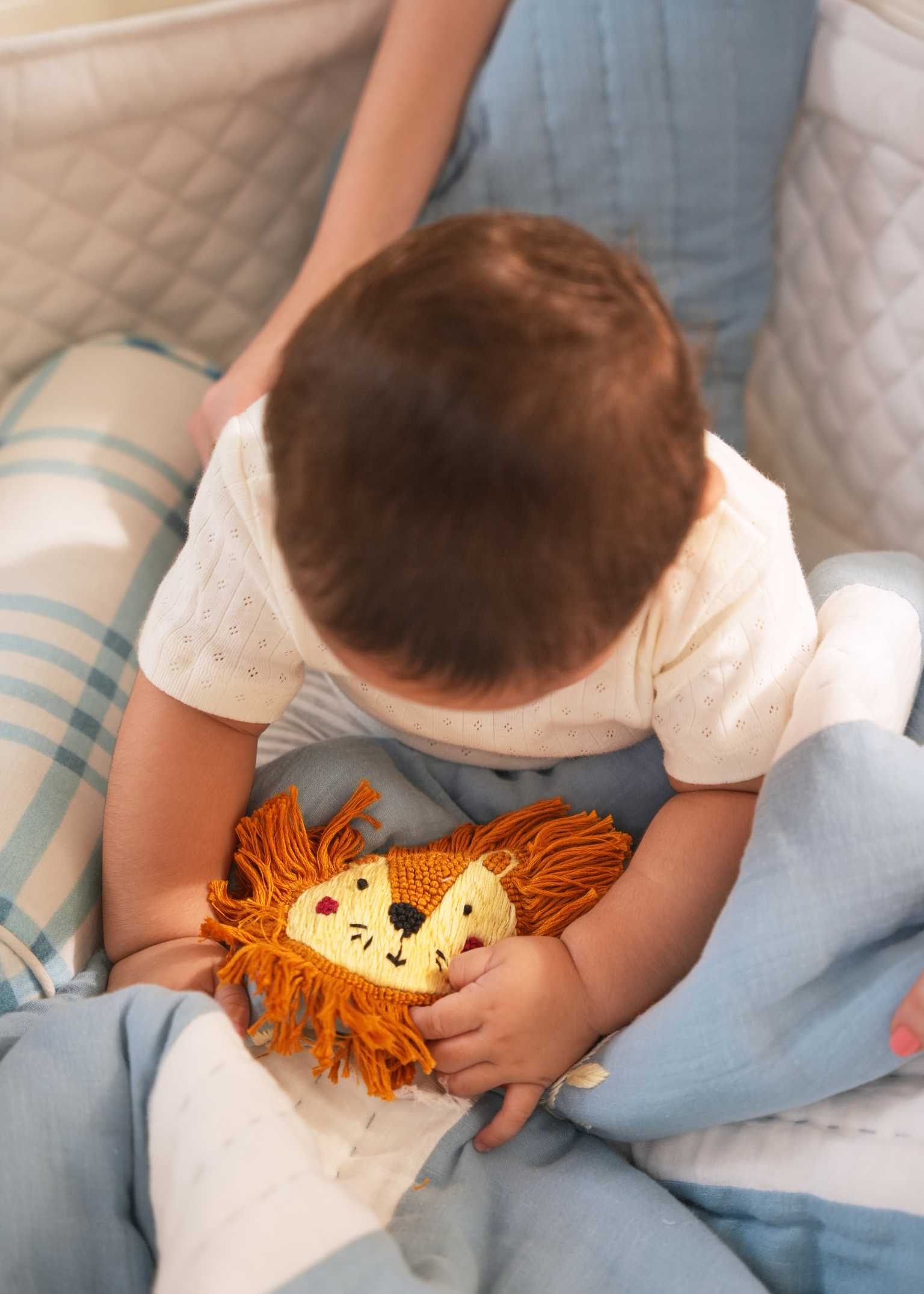 Lion King Baby Blanket