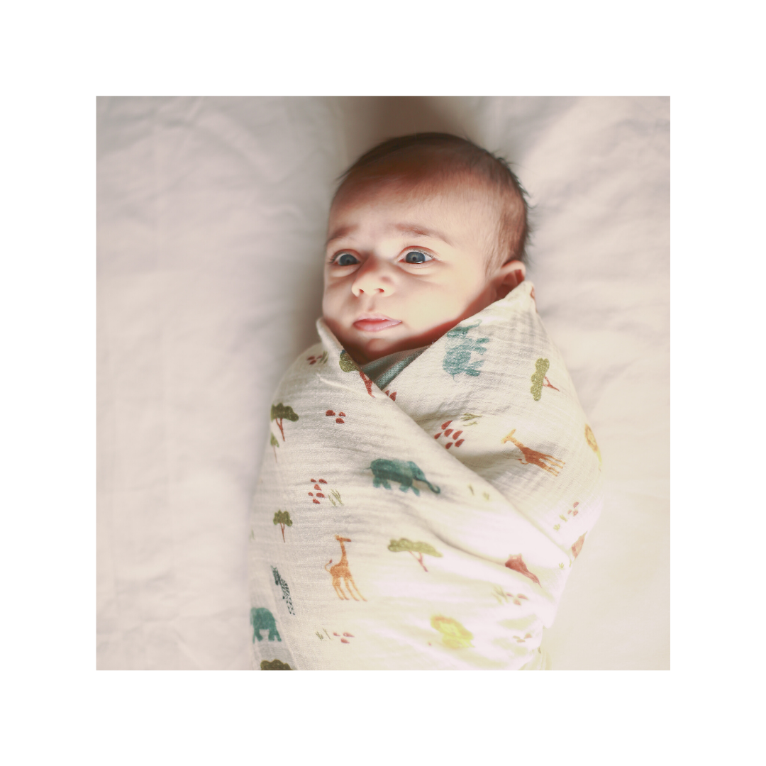 Dulaar Organic Muslin Swaddle (Set of 3) - Green Zen + The Sparrow and Flower + Squad Goals