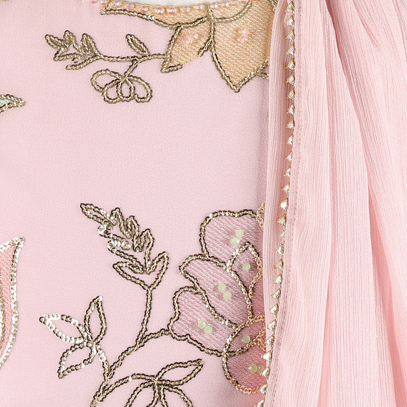 Baby Pink Embroidered Lehenga