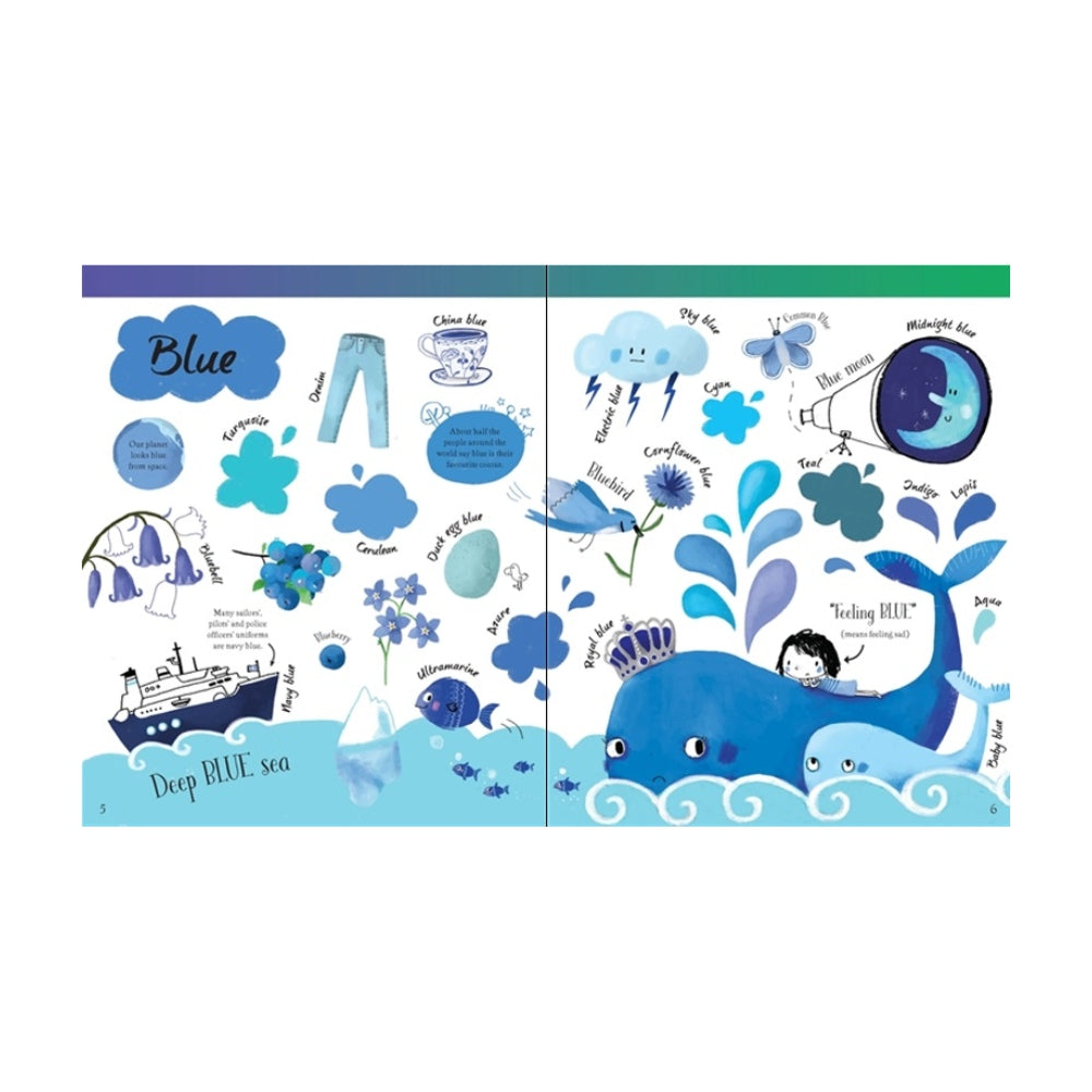 Usborne: Big Book of Colours (Board Book)