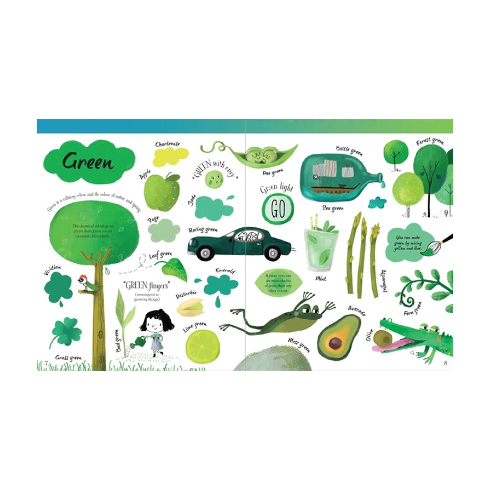 Usborne: Big Book of Colours (Board Book)