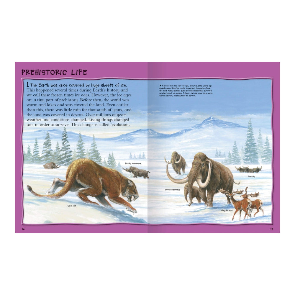 Fantastic Animal Facts