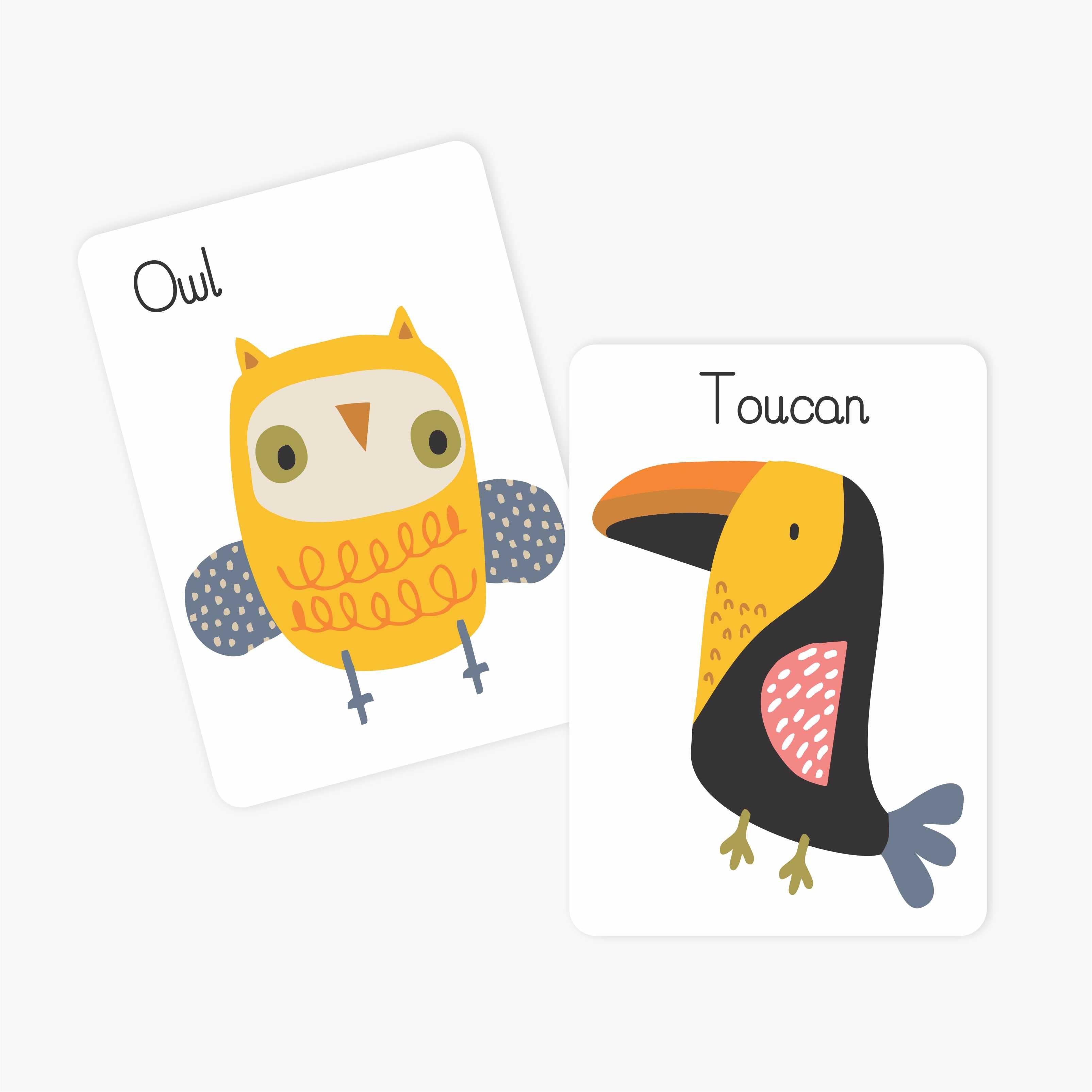 Flash Cards | Animals