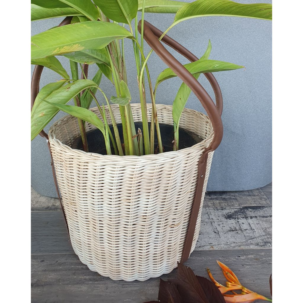 Cinnamon Cane Basket