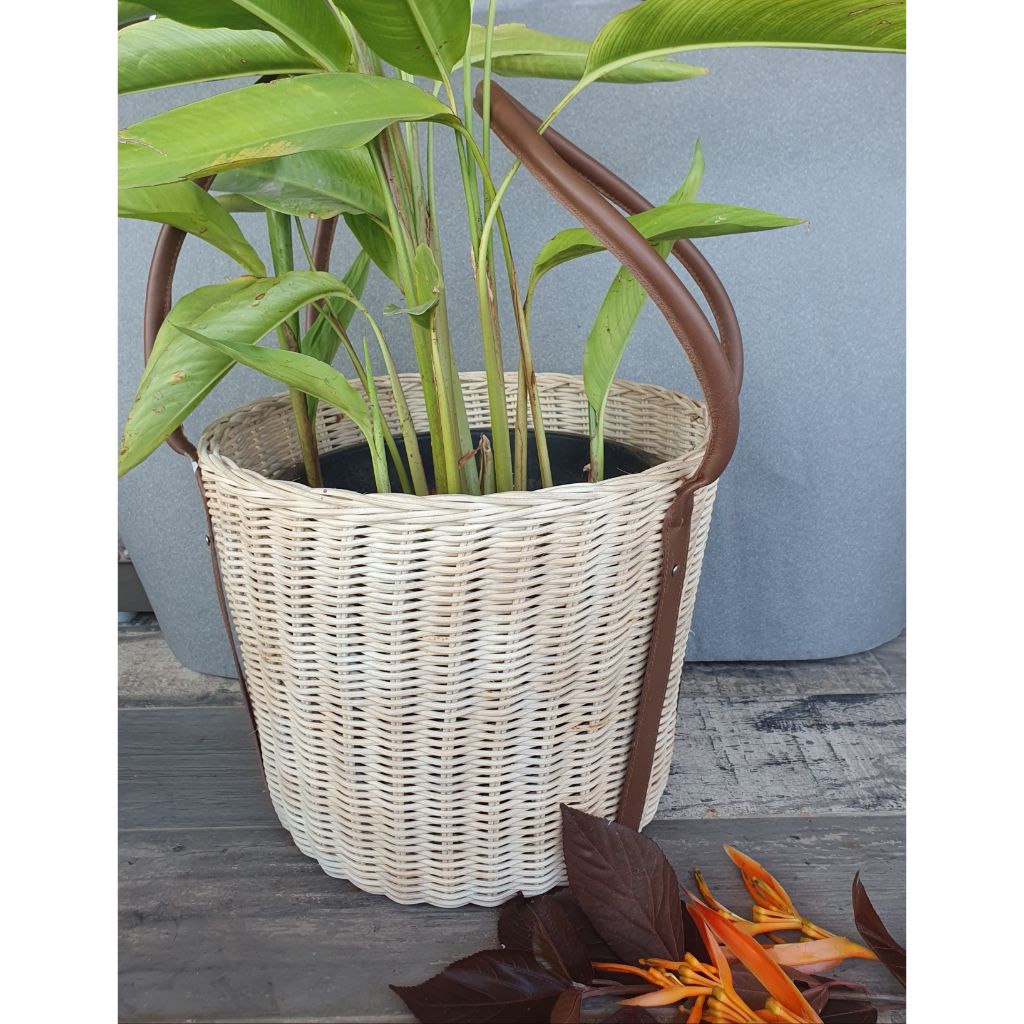 Cinnamon Cane Basket