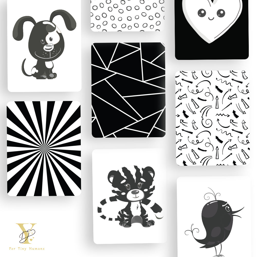 Newborn Gift Bundle - Colours, Shapes & Sensory Flash Cards
