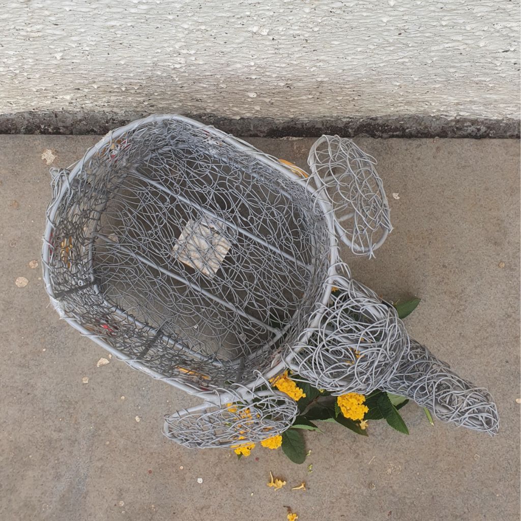 The Gray Meshed Elephant