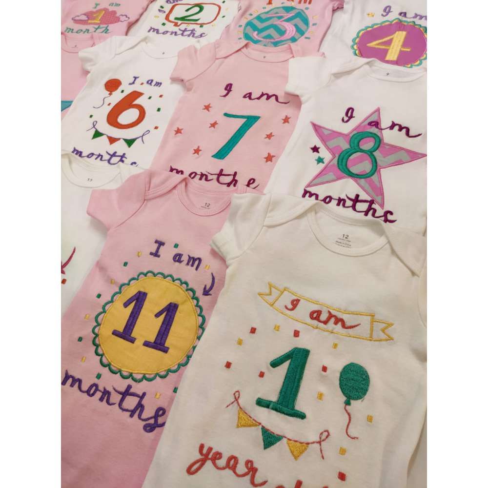 Hand Embroidered Milestone Romper Set of 12 - Bubble thoughts - Pink White Pink Combination