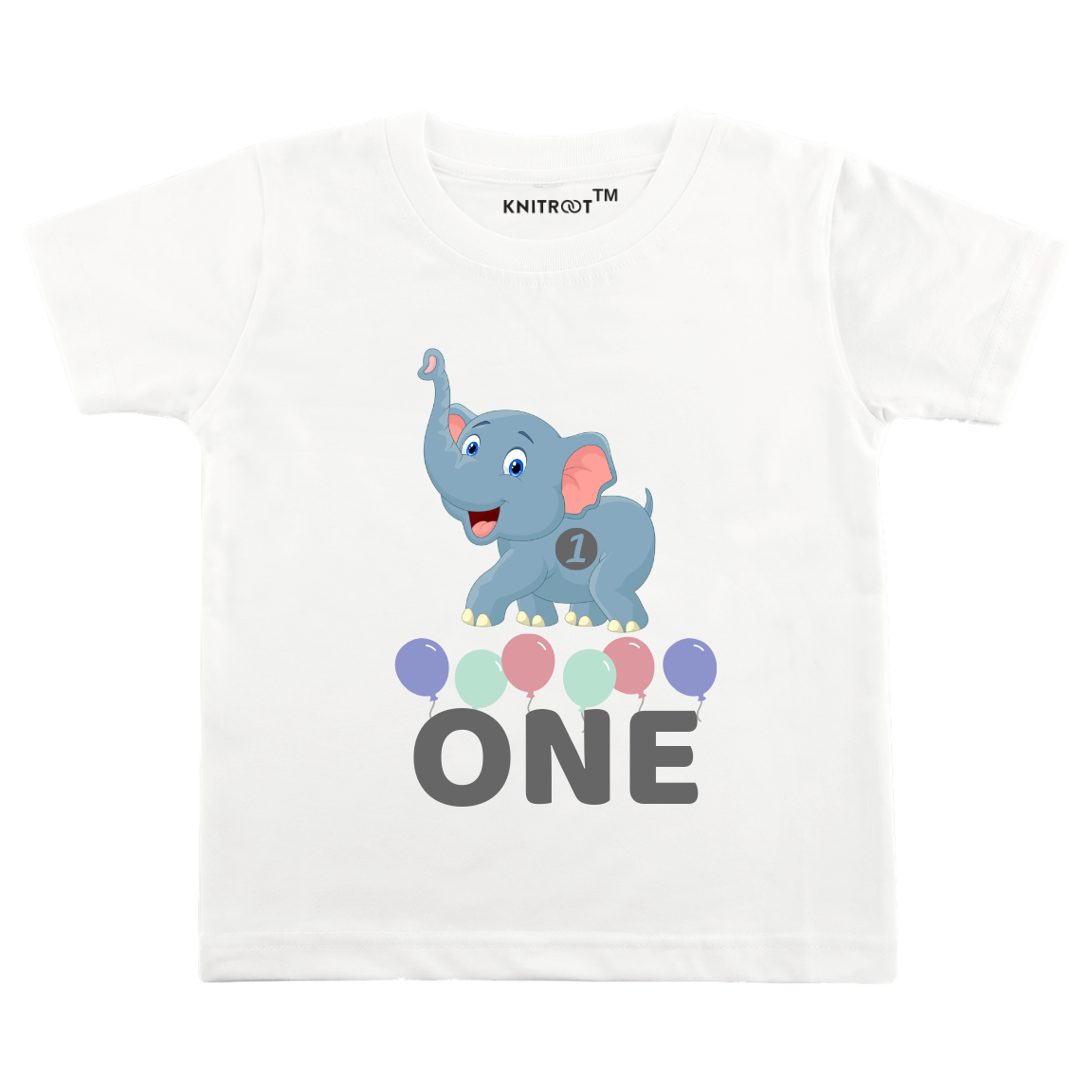 Baby First Birthday Tee